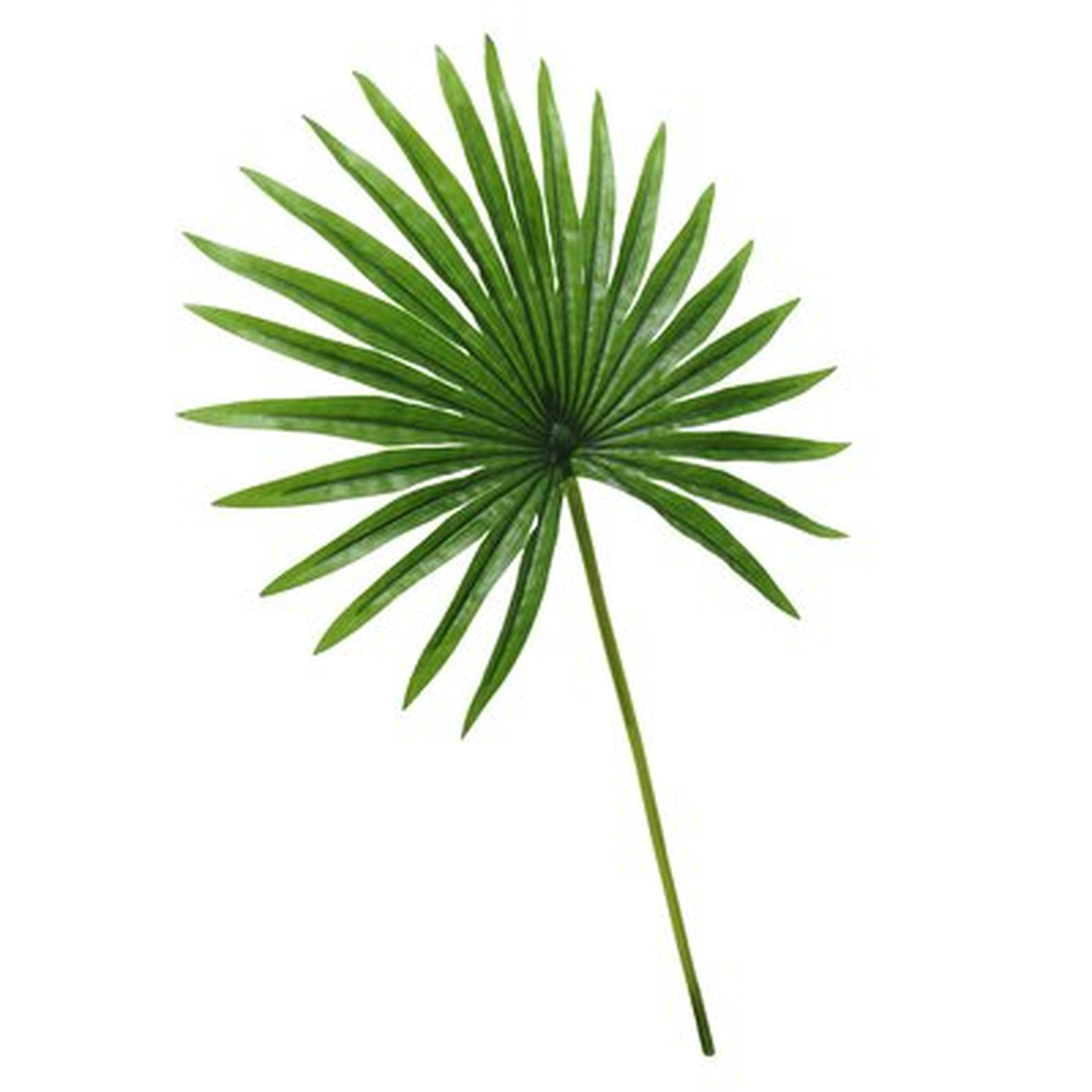 3 - Piece Artificial Palm Plant (Set of 3) - Wayfair