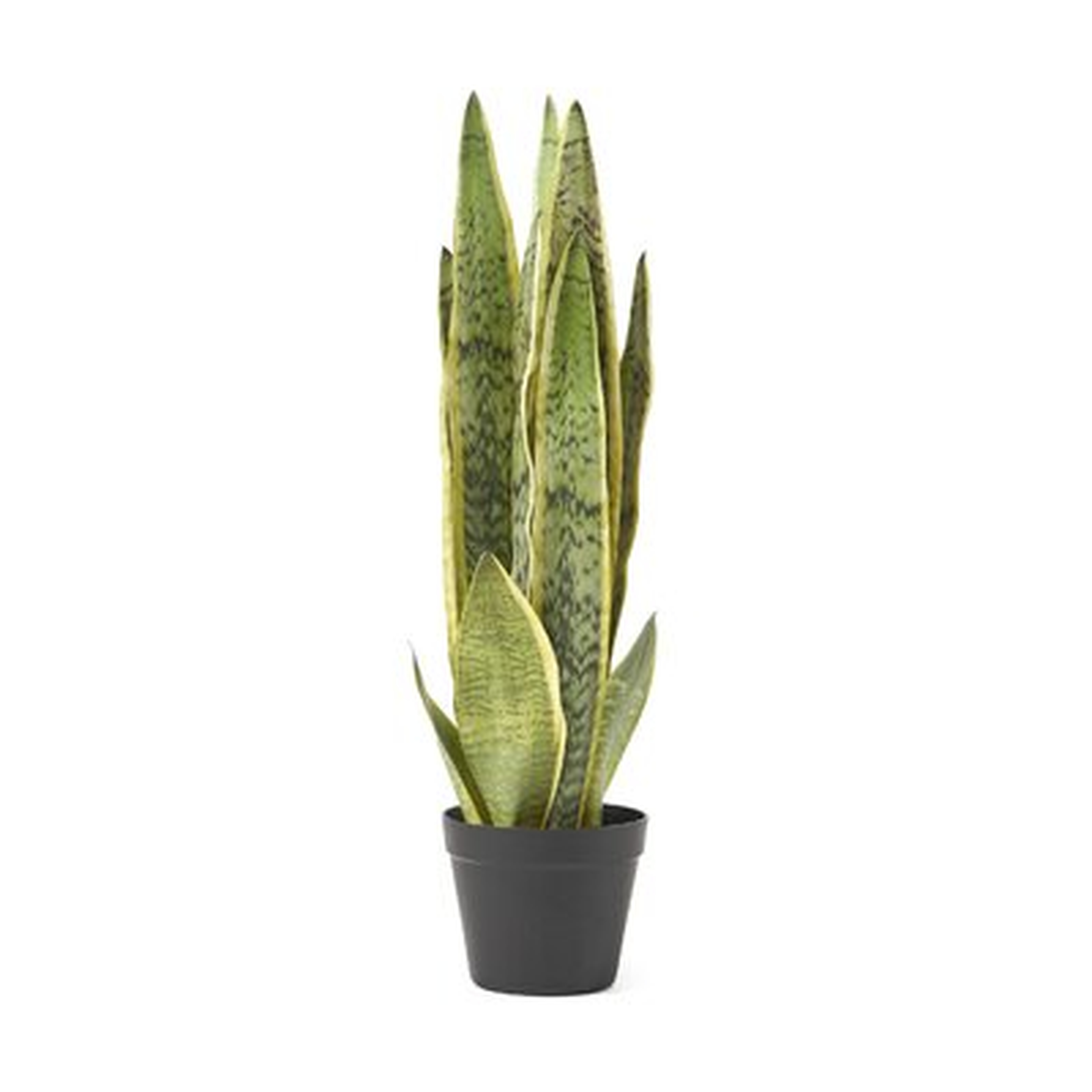 Artificial Snake Plant - Wayfair
