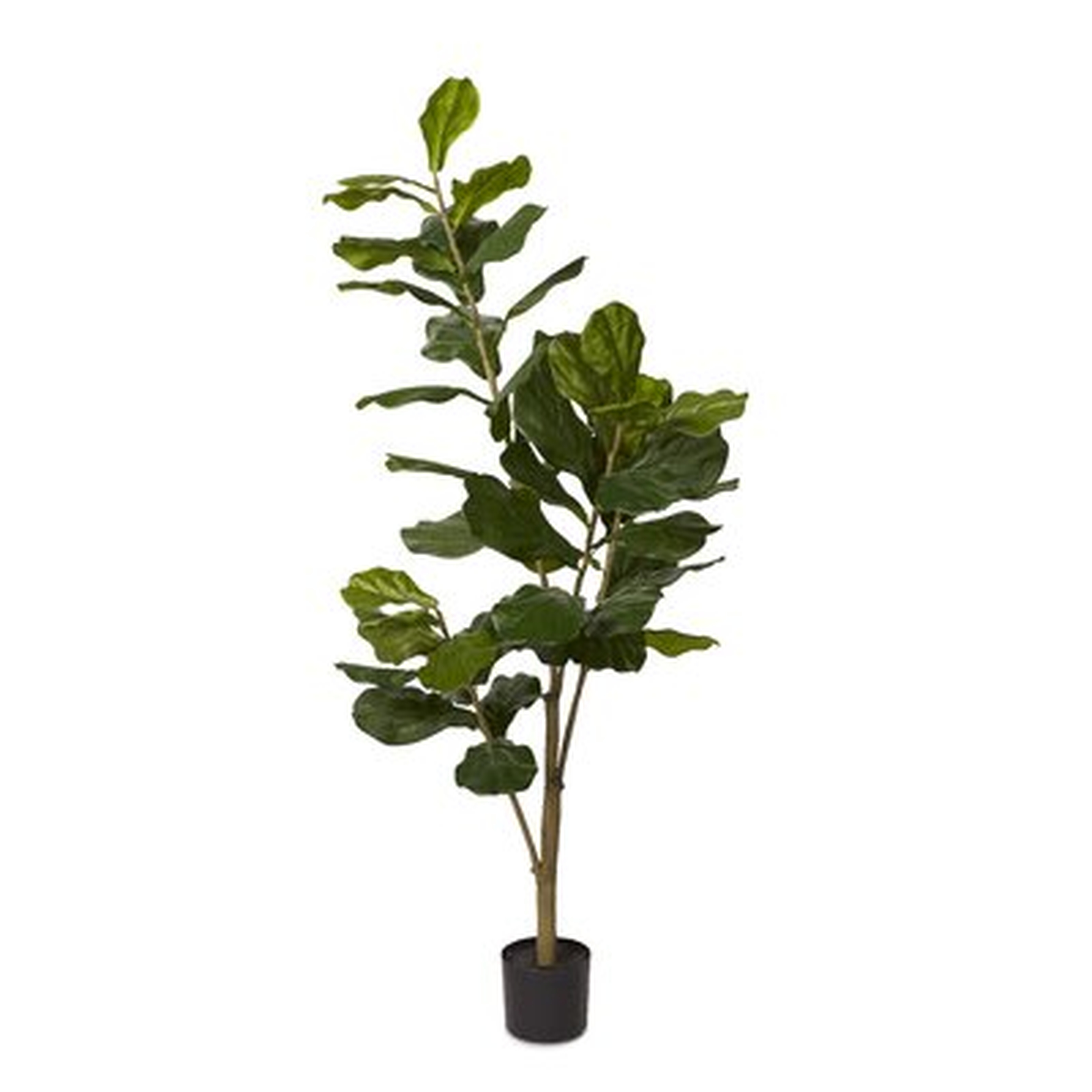 60" Artificial Fiddle Leaf Fig Tree - Wayfair