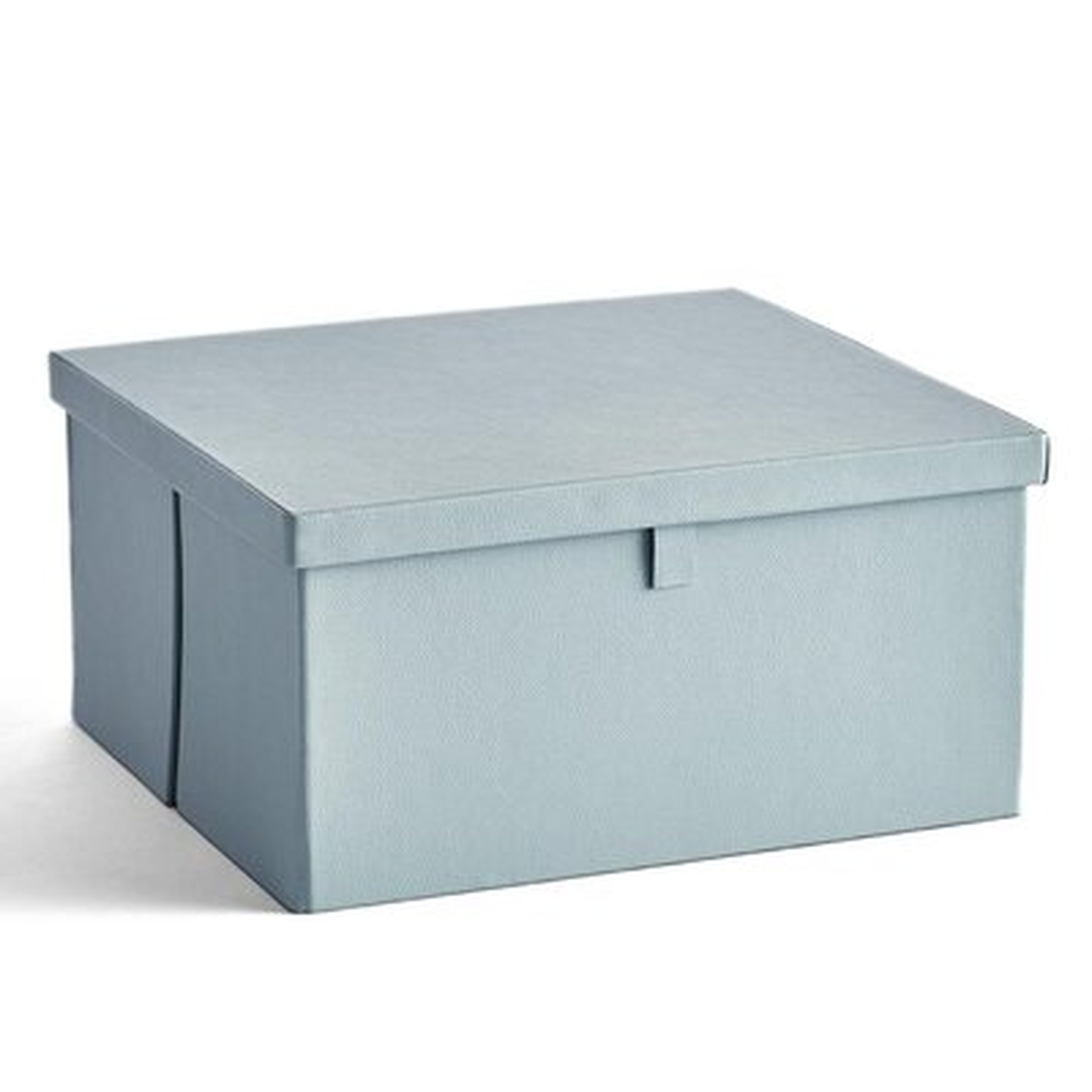 Park Faux Leather Storage Box - Ice Blue - Wayfair