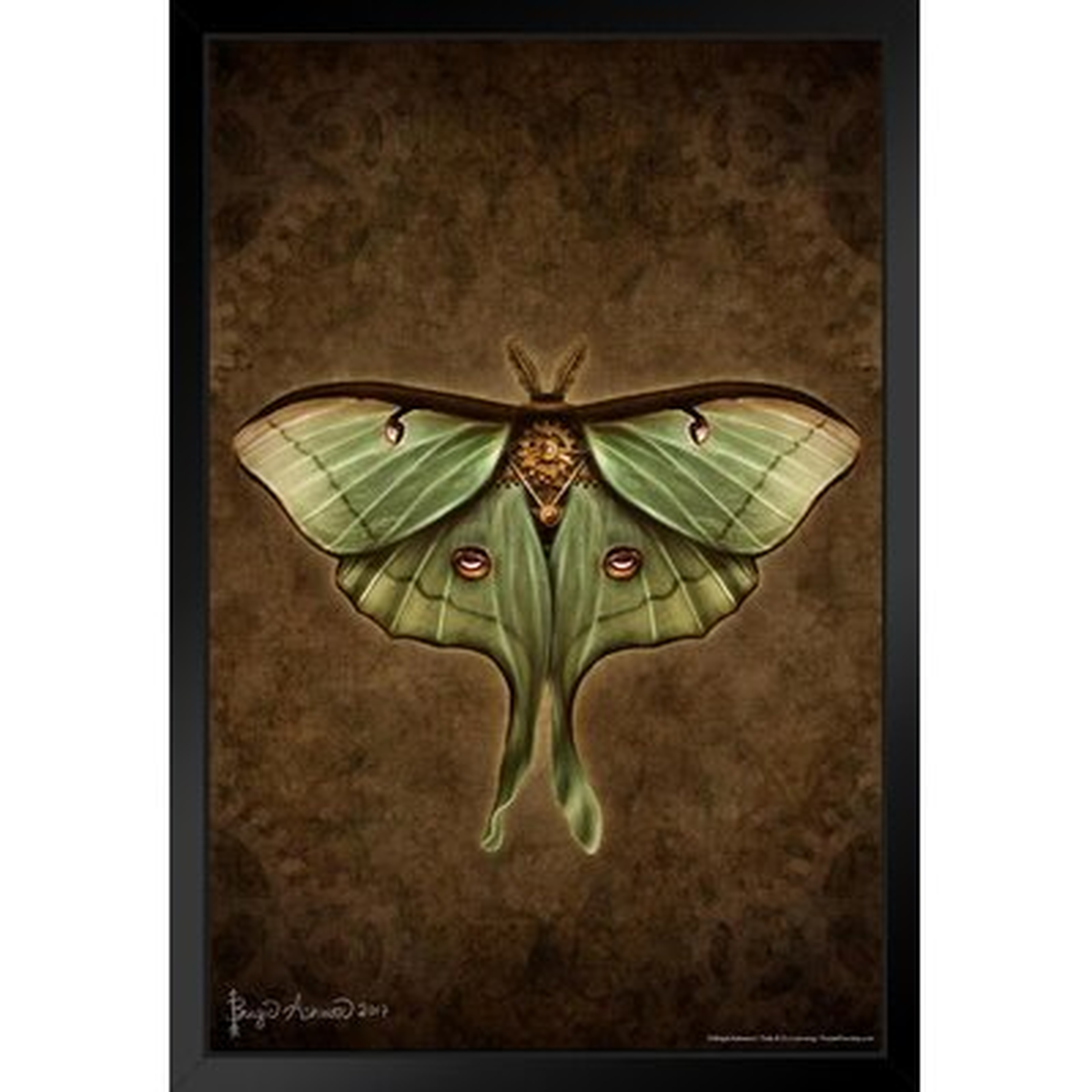 Steampunk Luna Moth By Brigid Ashwood Insect Wall Art Of Moths And Butterflies Butterfly Illustrations Insect Poster Moth Print Black Wood Framed Art Poster 14X20 - Wayfair