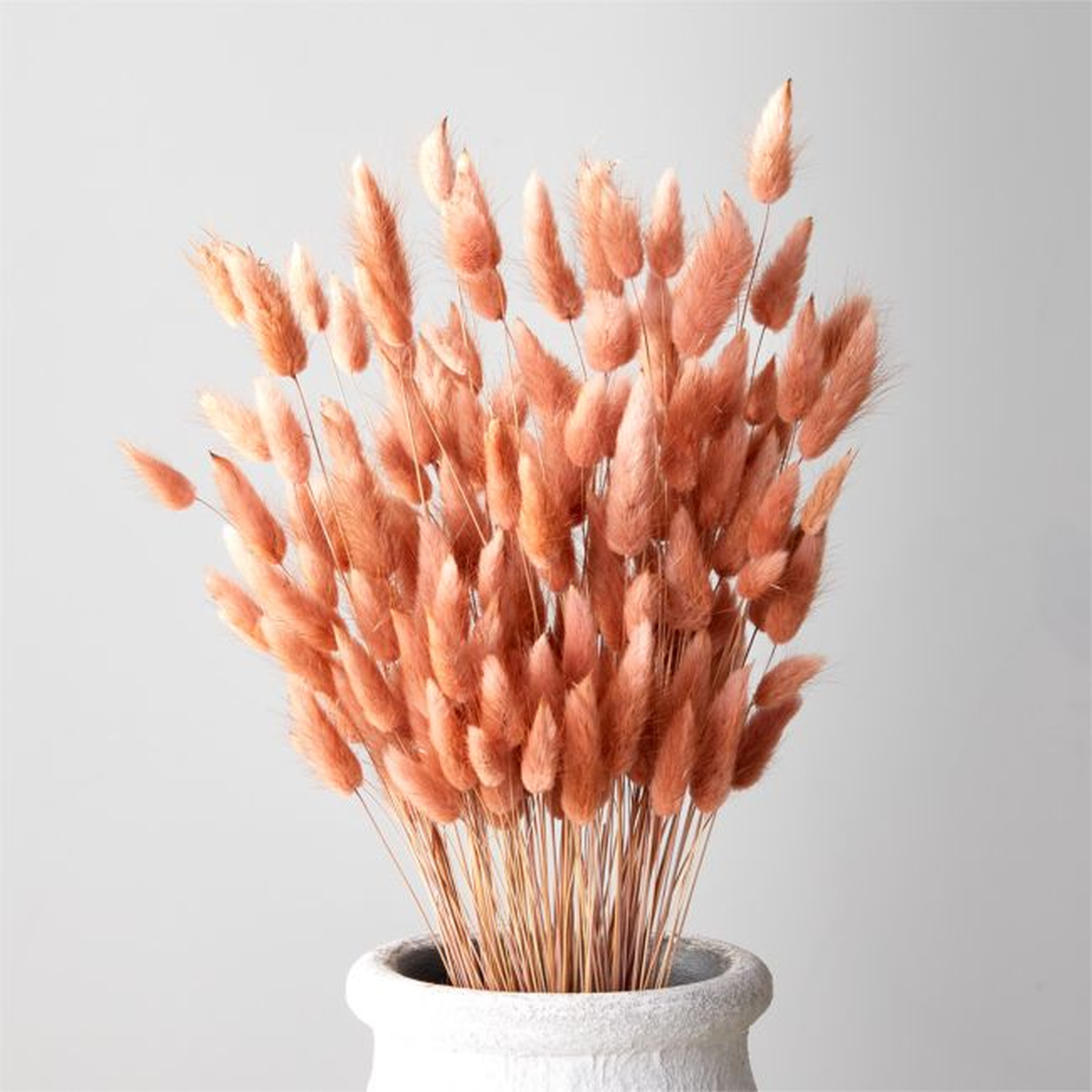 Bunnies Tail Amber Bunch 28" - CB2