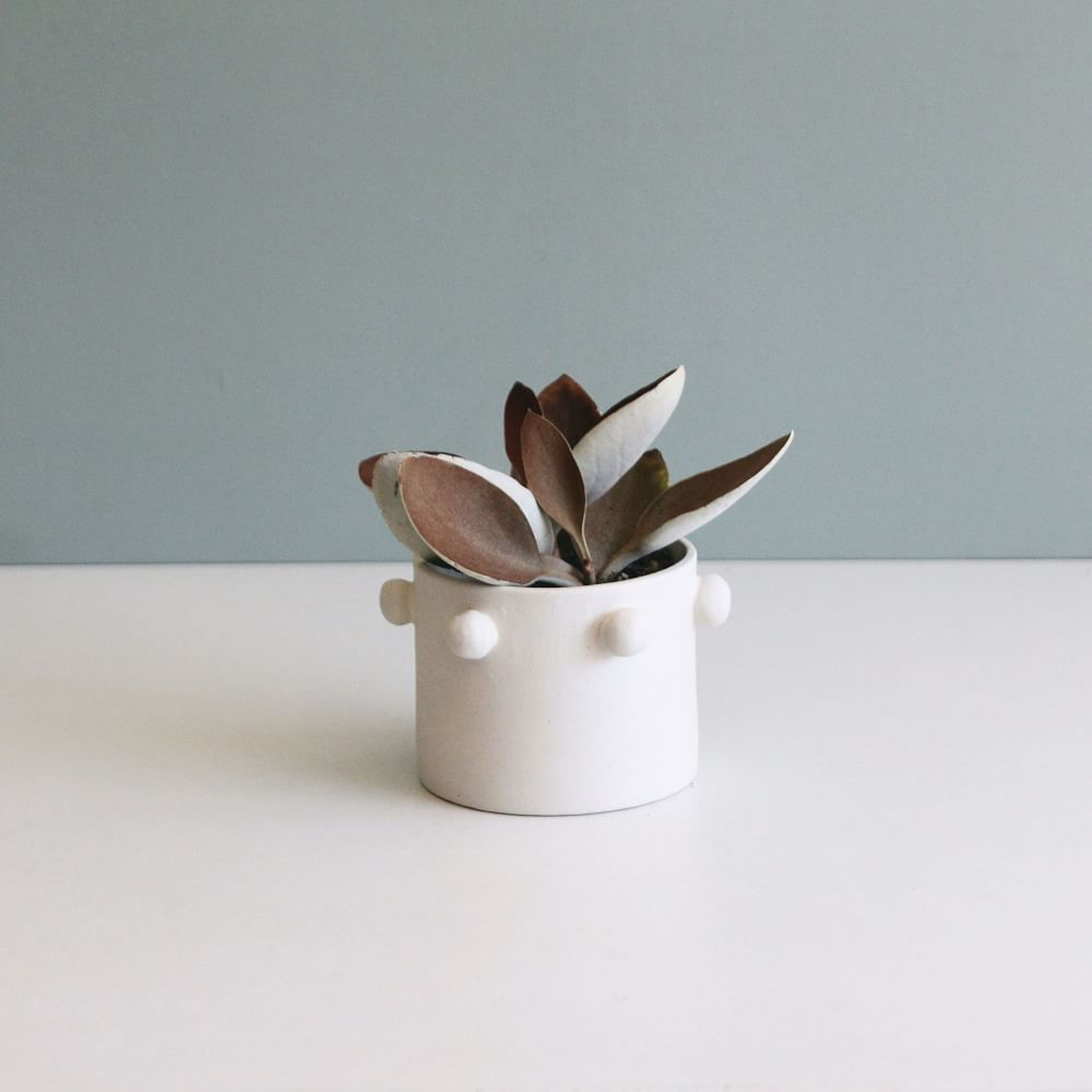 Dotted Planter, White, Small - West Elm