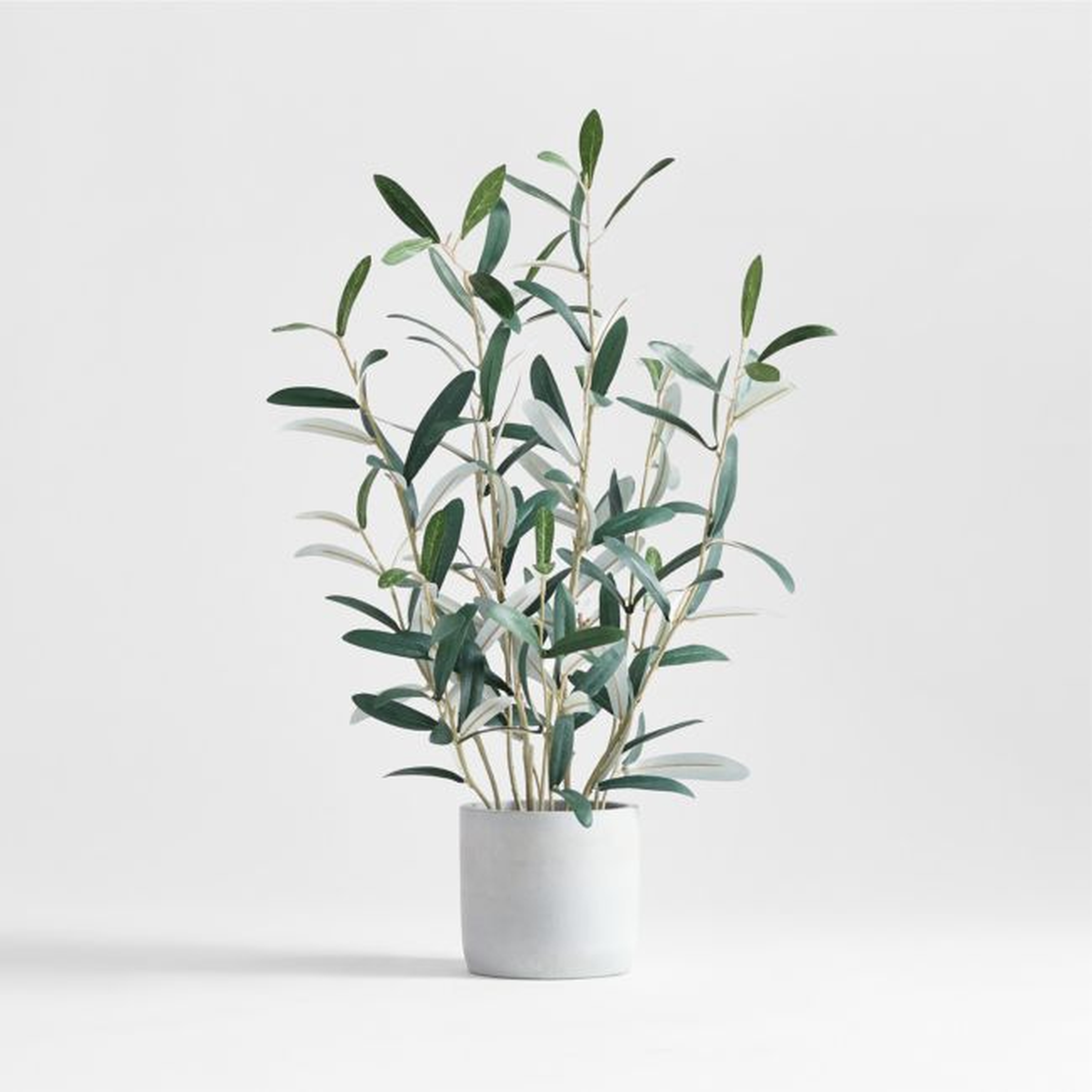 Faux Olive Tree in Pot 22" - Crate and Barrel
