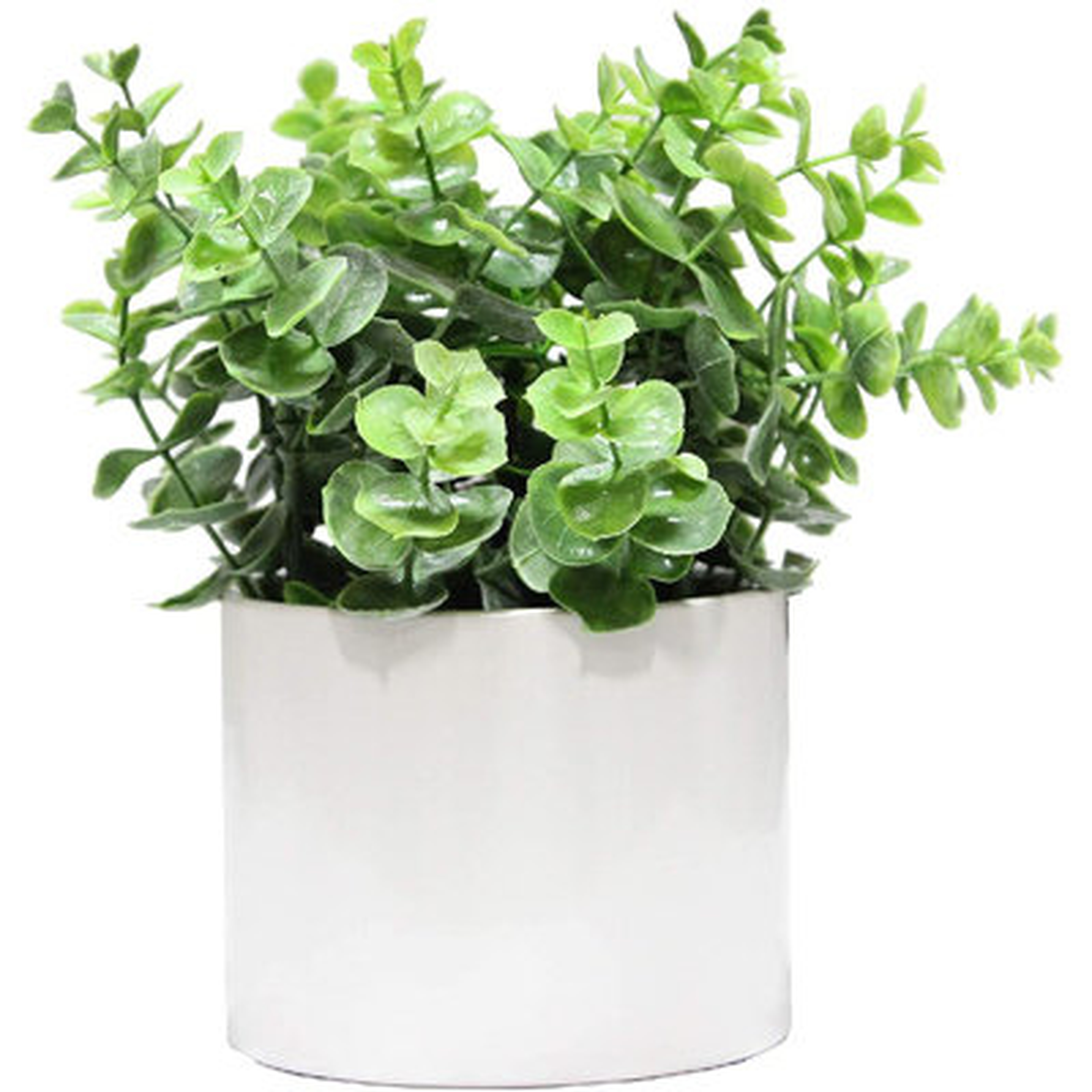 Faux  Tabletop Potted Plant, - Wayfair