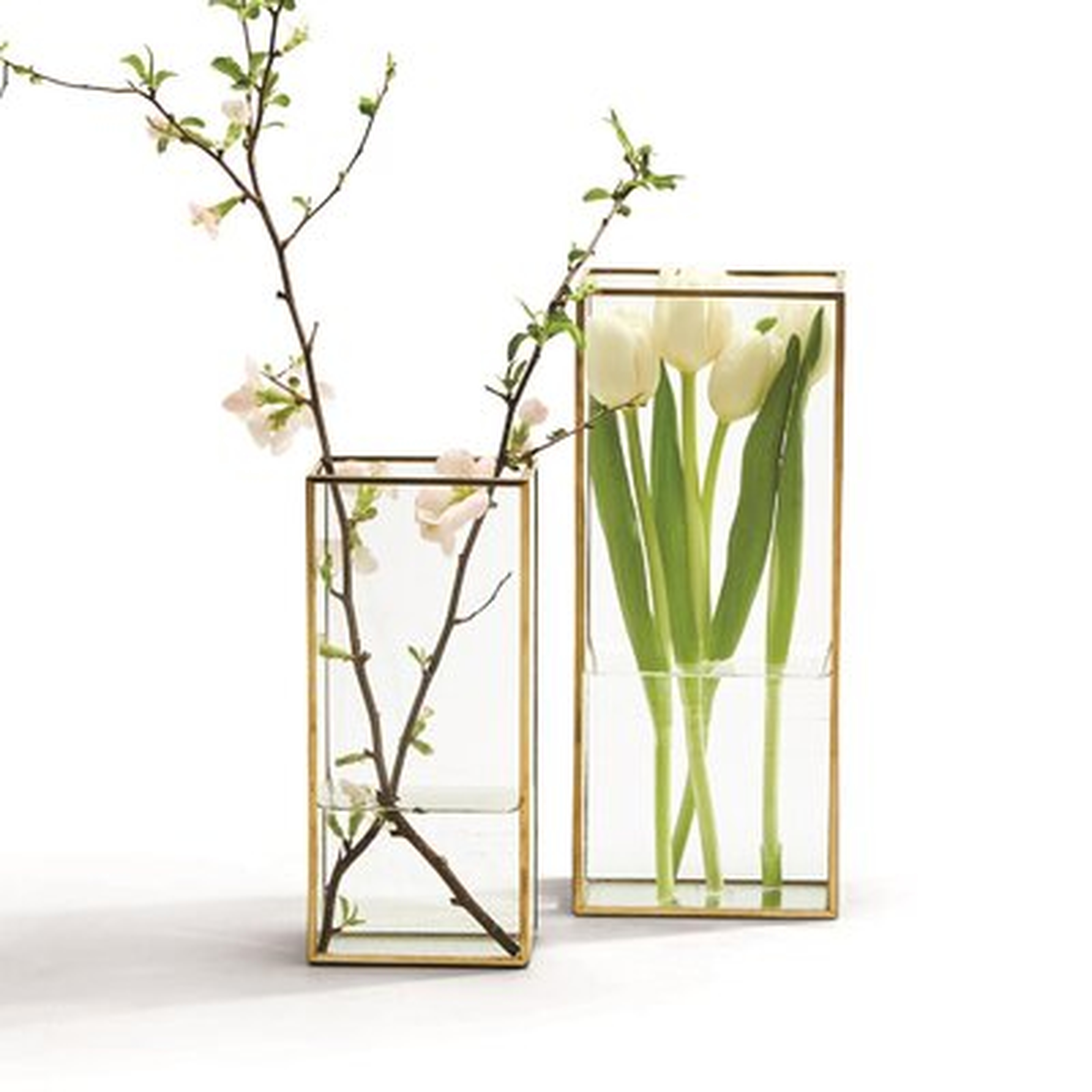 2 Piece Wifrith Clear/Gold Glass Table Vase Set - Wayfair