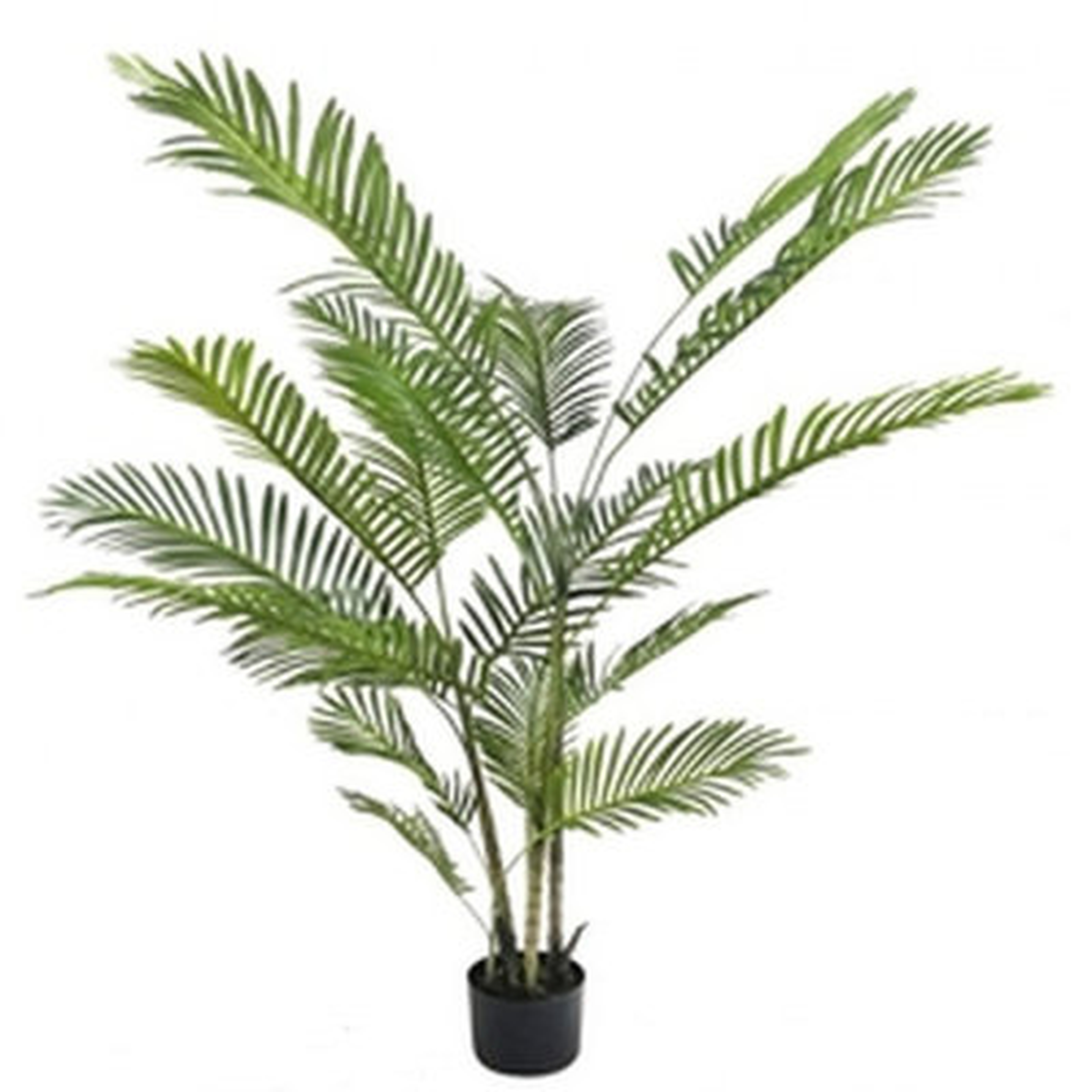 6In(S) Potted Areca Palm Faux Plants And Trees - Wayfair
