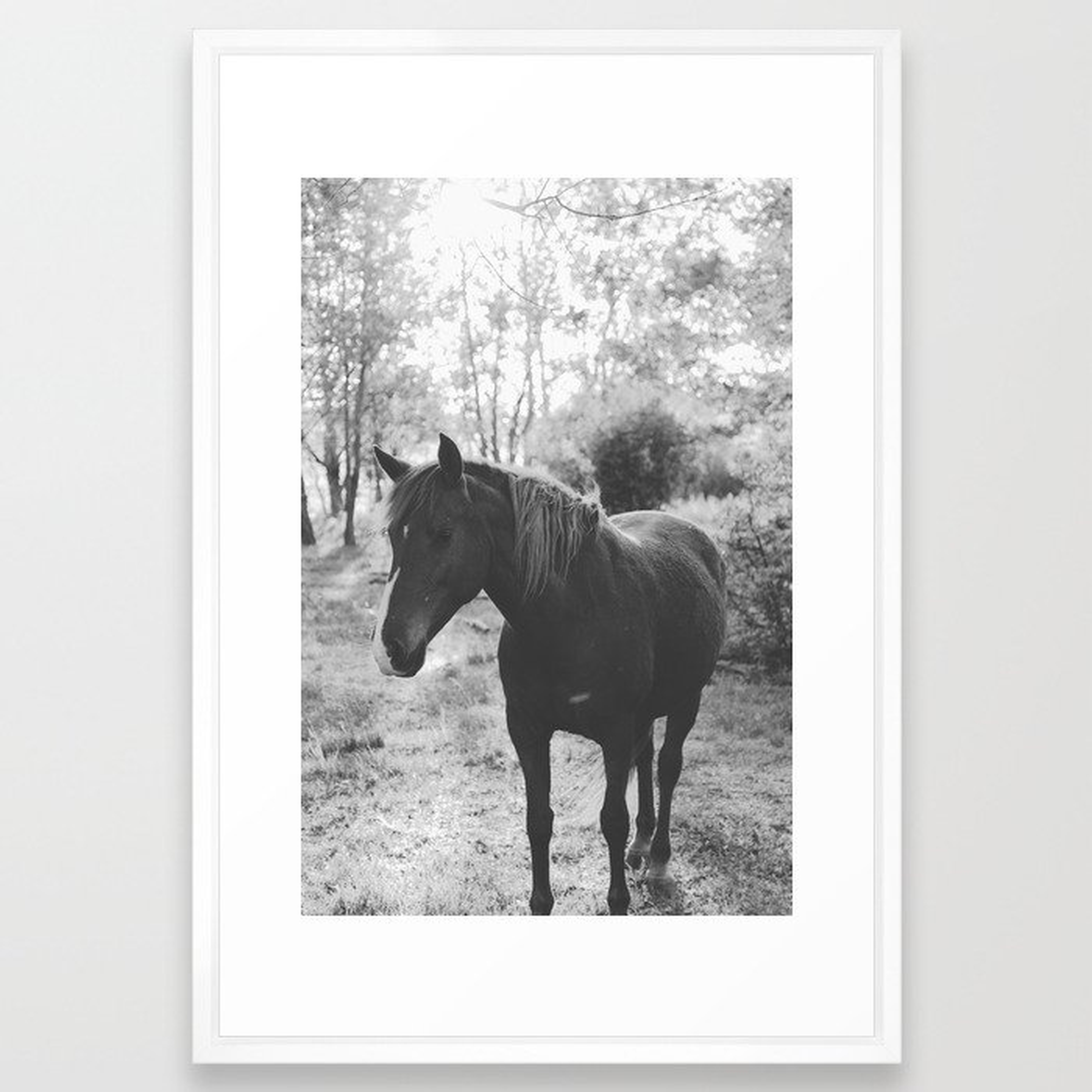 Horse Vi _ Photography Framed Art Print by Florent Bodart / Speakerine - Vector White - LARGE (Gallery)-26x38 - Society6