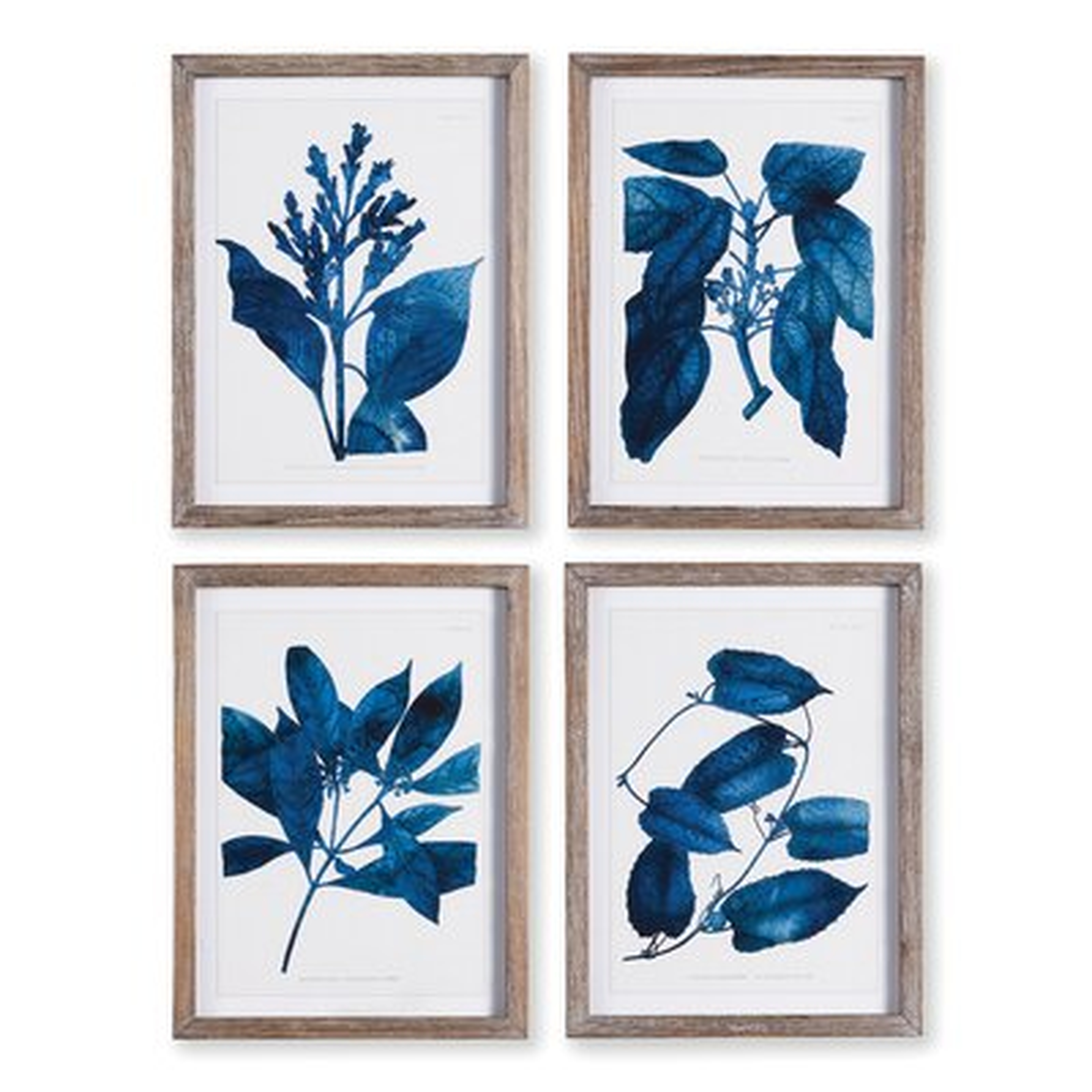 'Indigo Botanicals' - 4 Piece Picture Frame Print Set on Paper - Wayfair