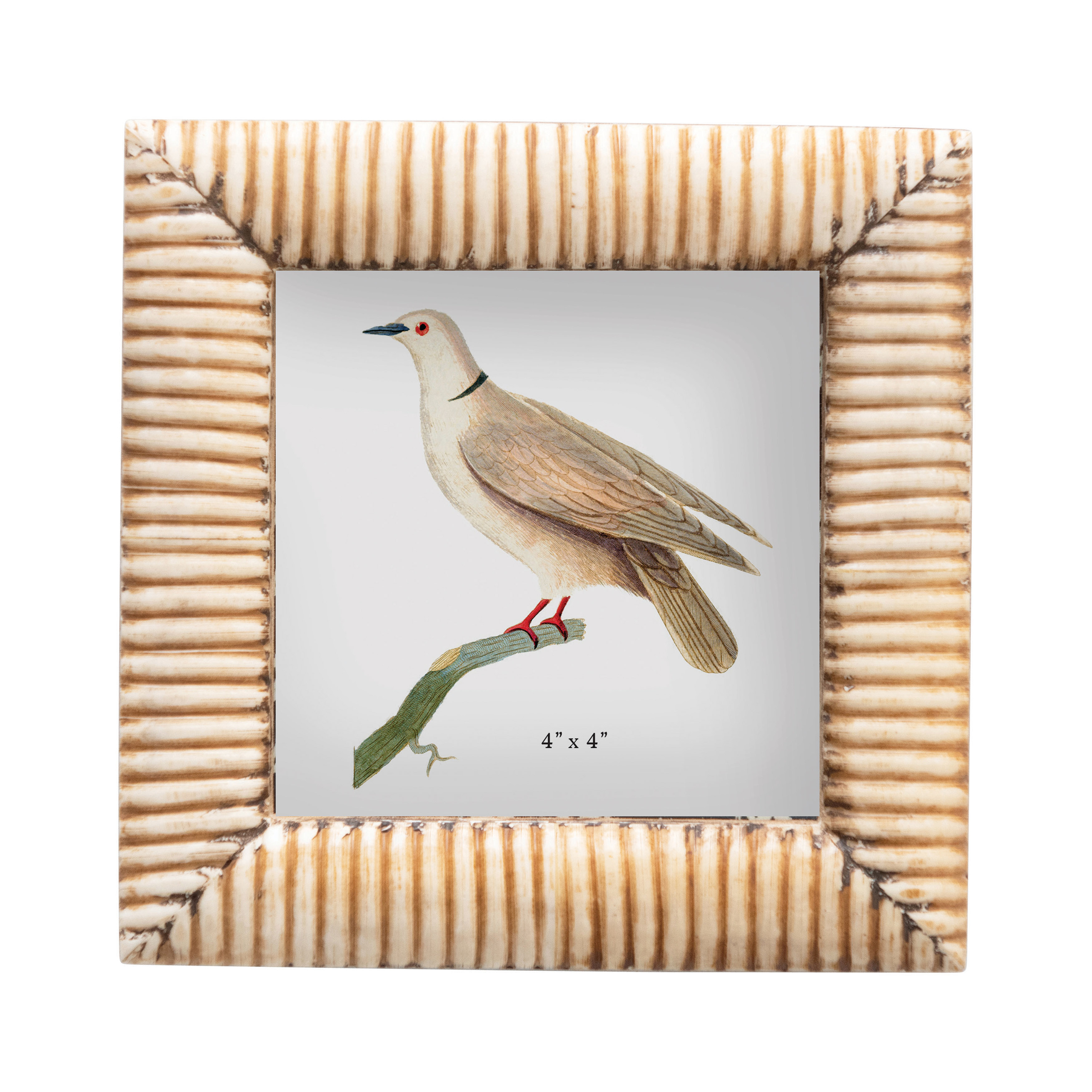Hand-Carved Bone & MDF Photo Frame with Ribbed Pattern, Natural (Holds 4" x 4" Photo) - Creative Co-Op