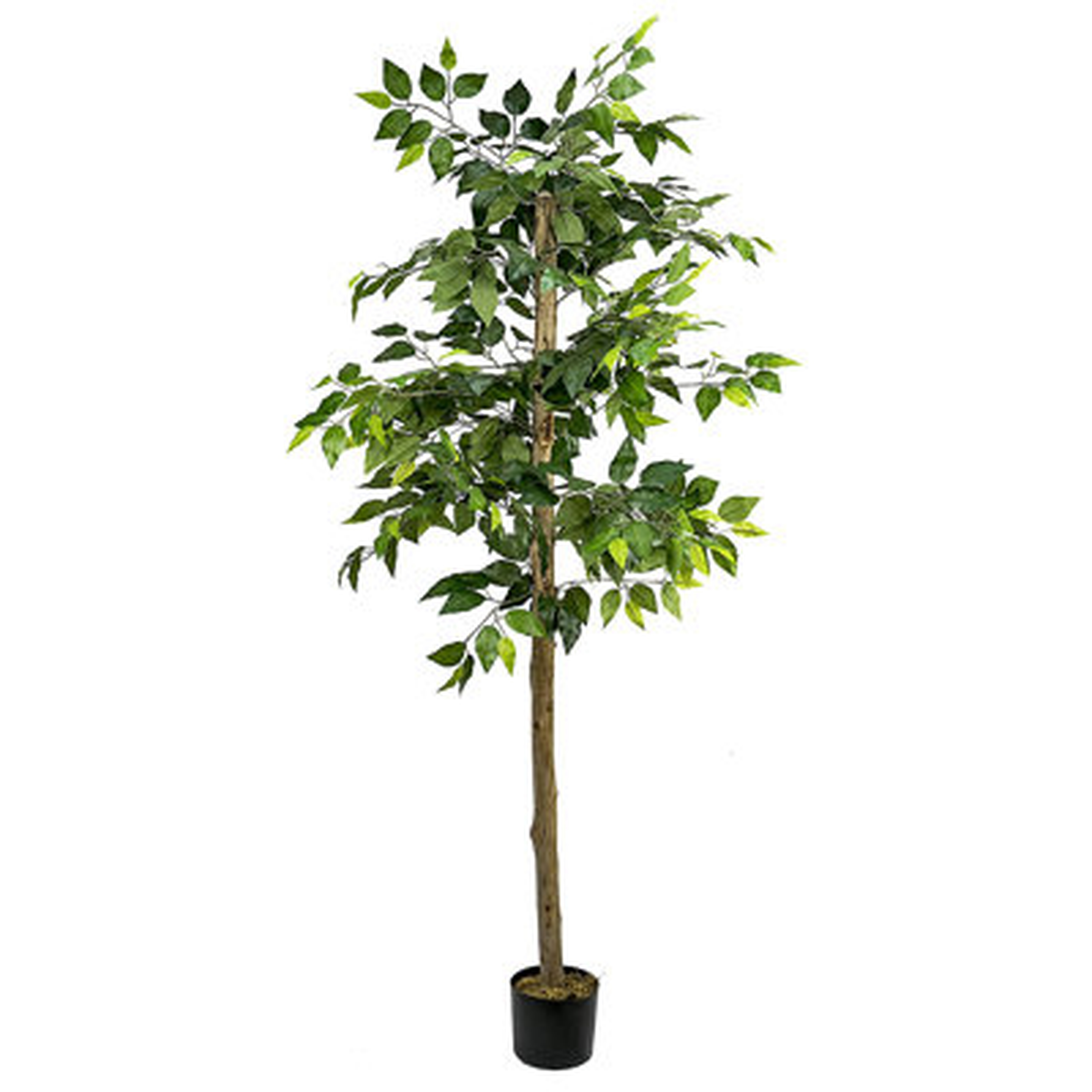 72" Artificial Ficus Tree in Pot - Wayfair