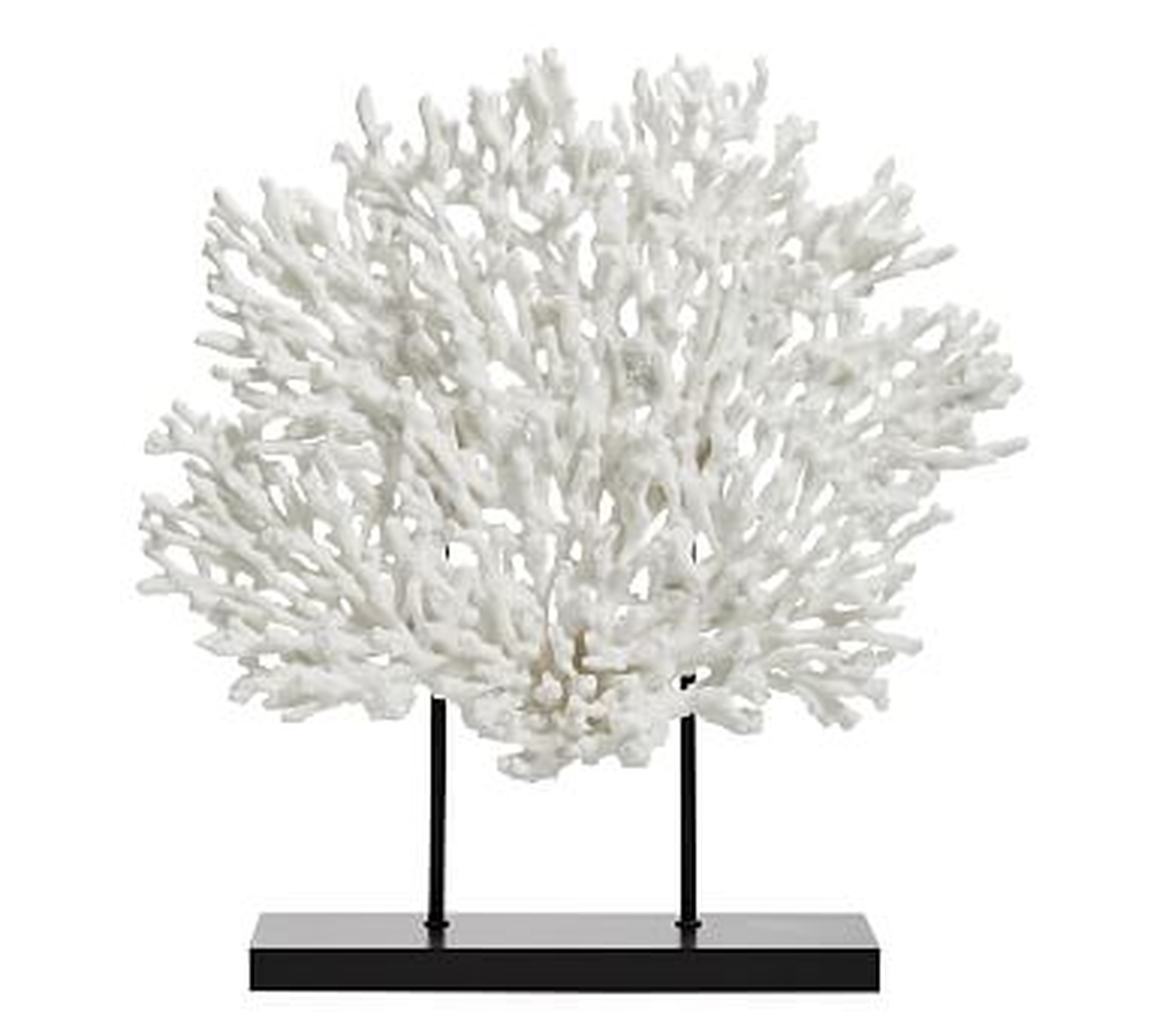 Faux Coral on Black Stand, White, Large - Pottery Barn