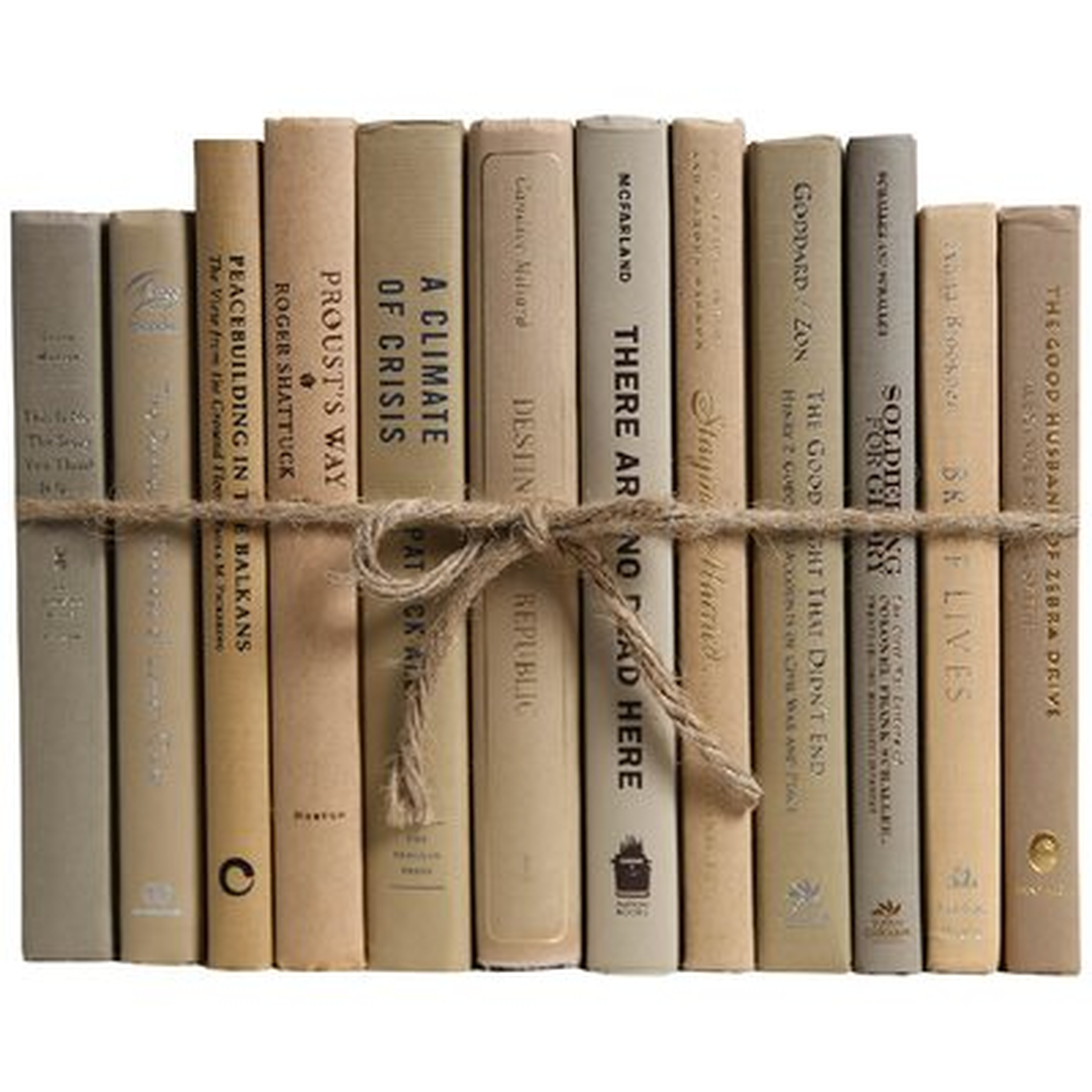 Driftwood Colorpak Authentic Decorative Book - Wayfair