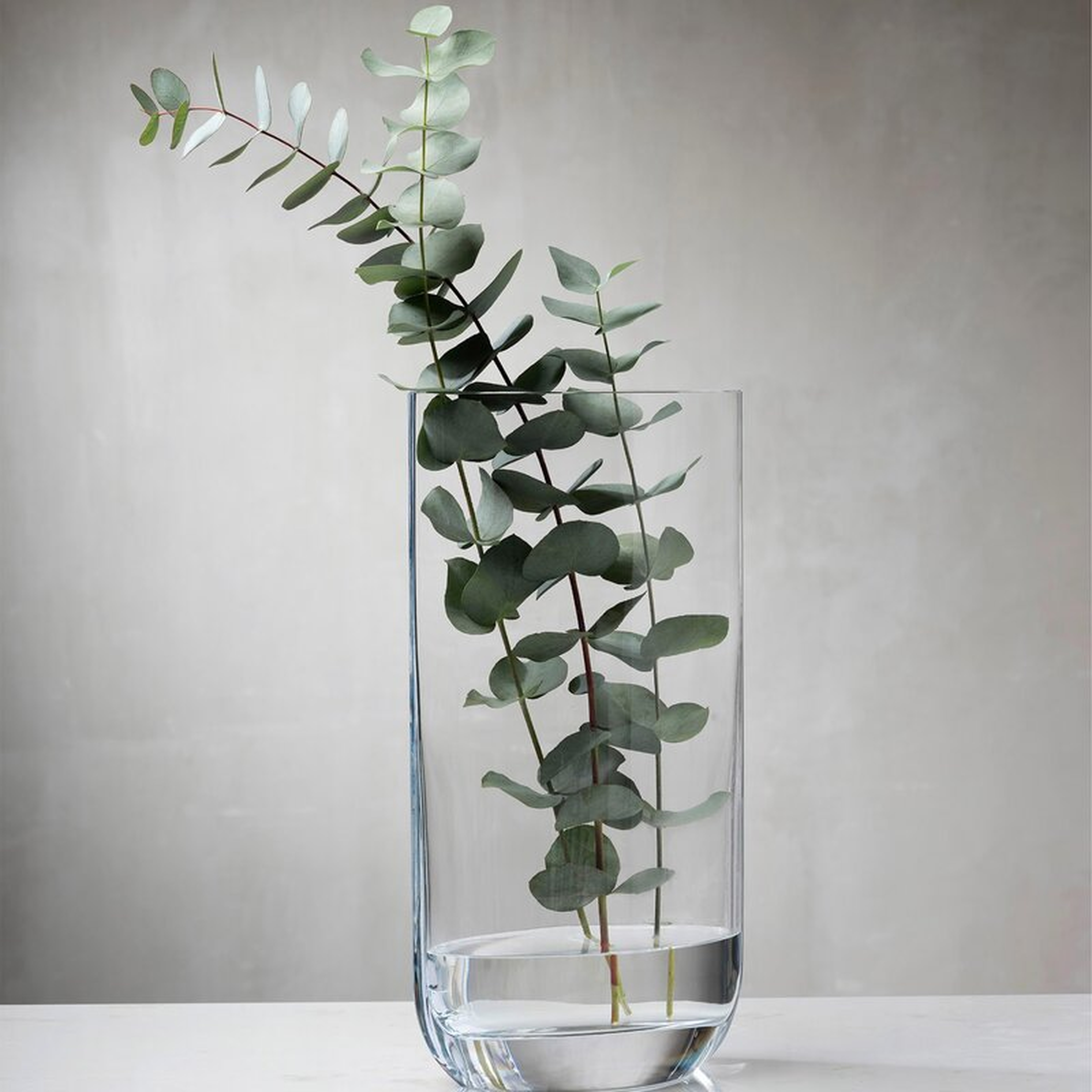 Nude Blade Lead Free Crystal Table Vase - Perigold