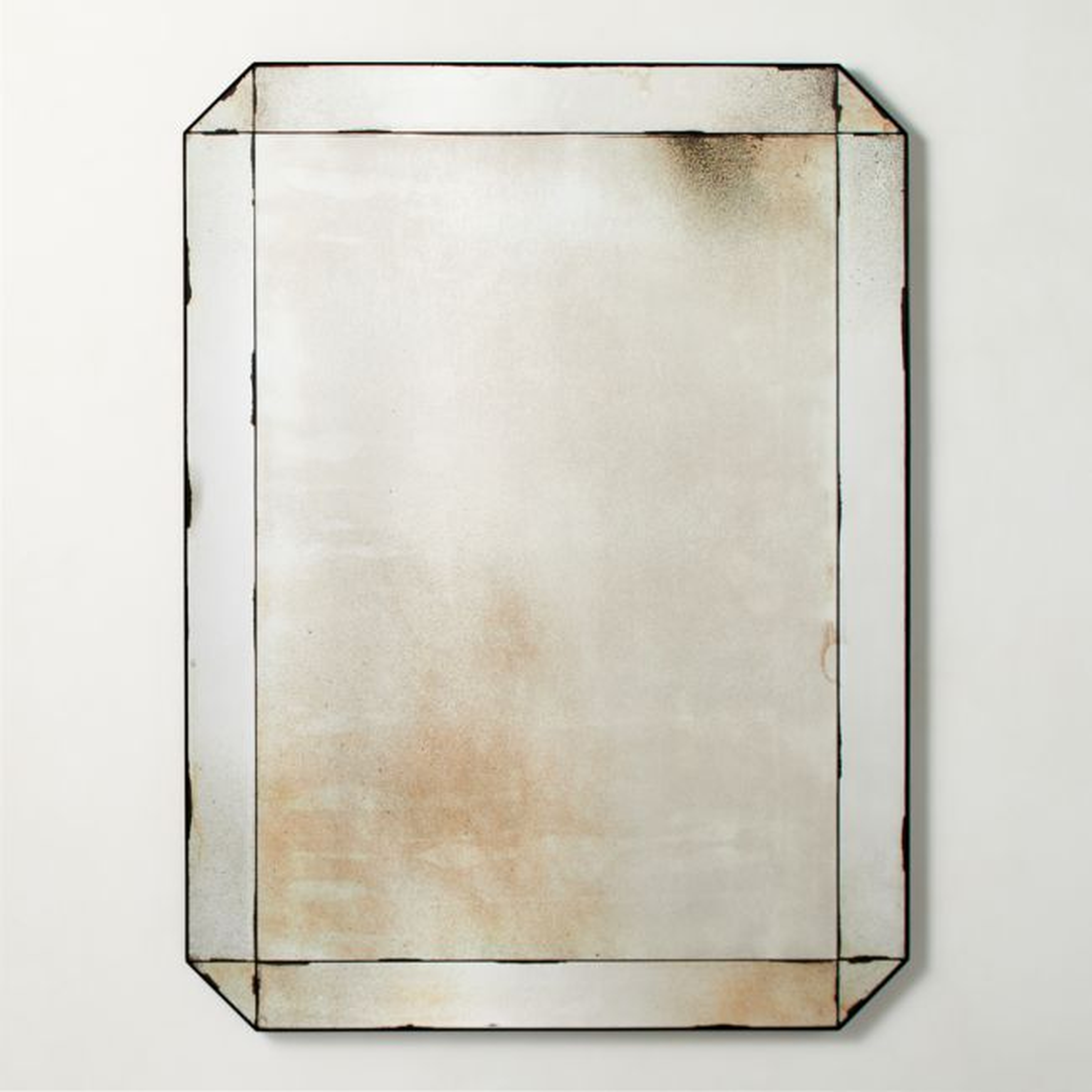 Sureau Antiqued Black Rectangular Wall Mirror 36''x48'' - CB2