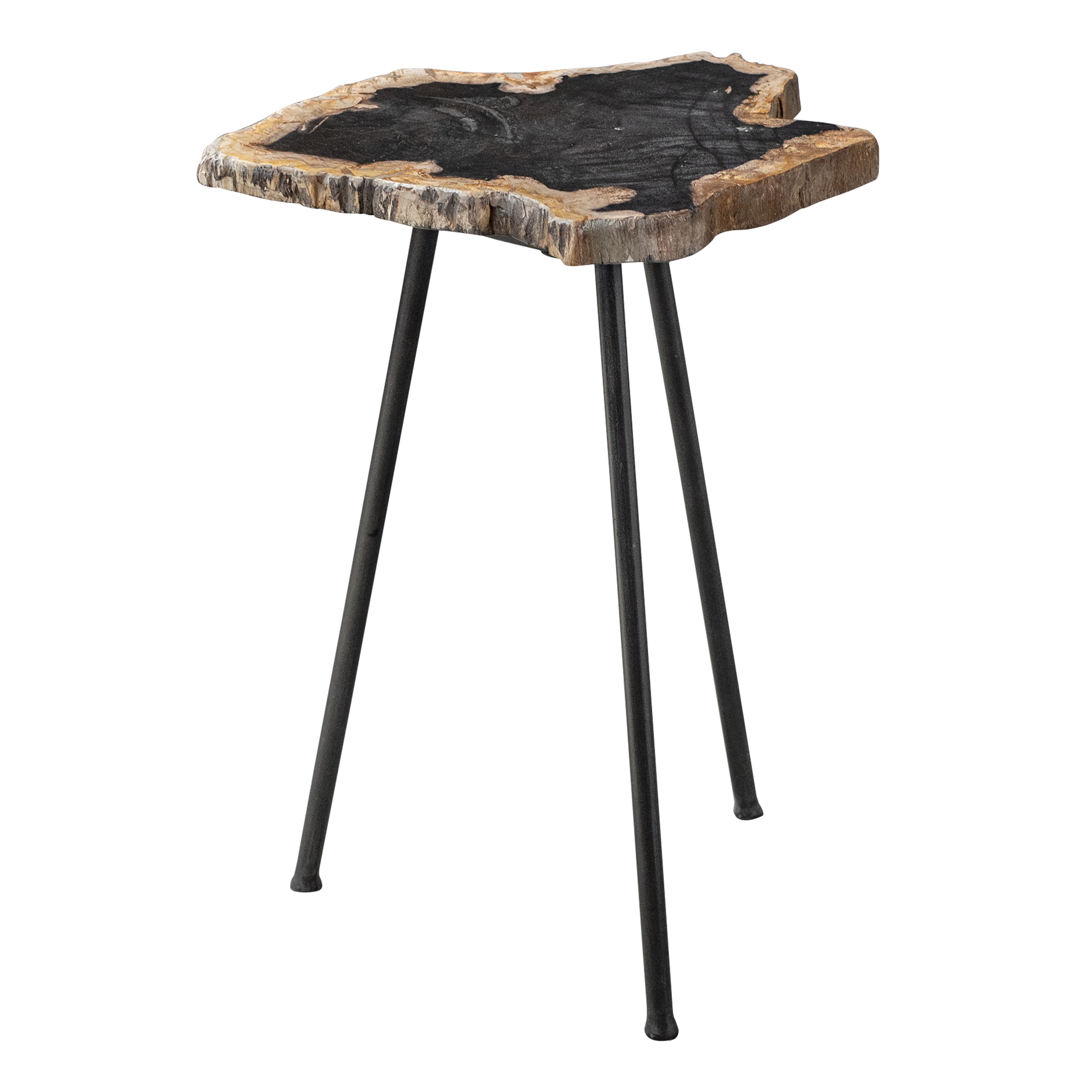 Mircea Petrified Wood Accent Table - Uttermost
