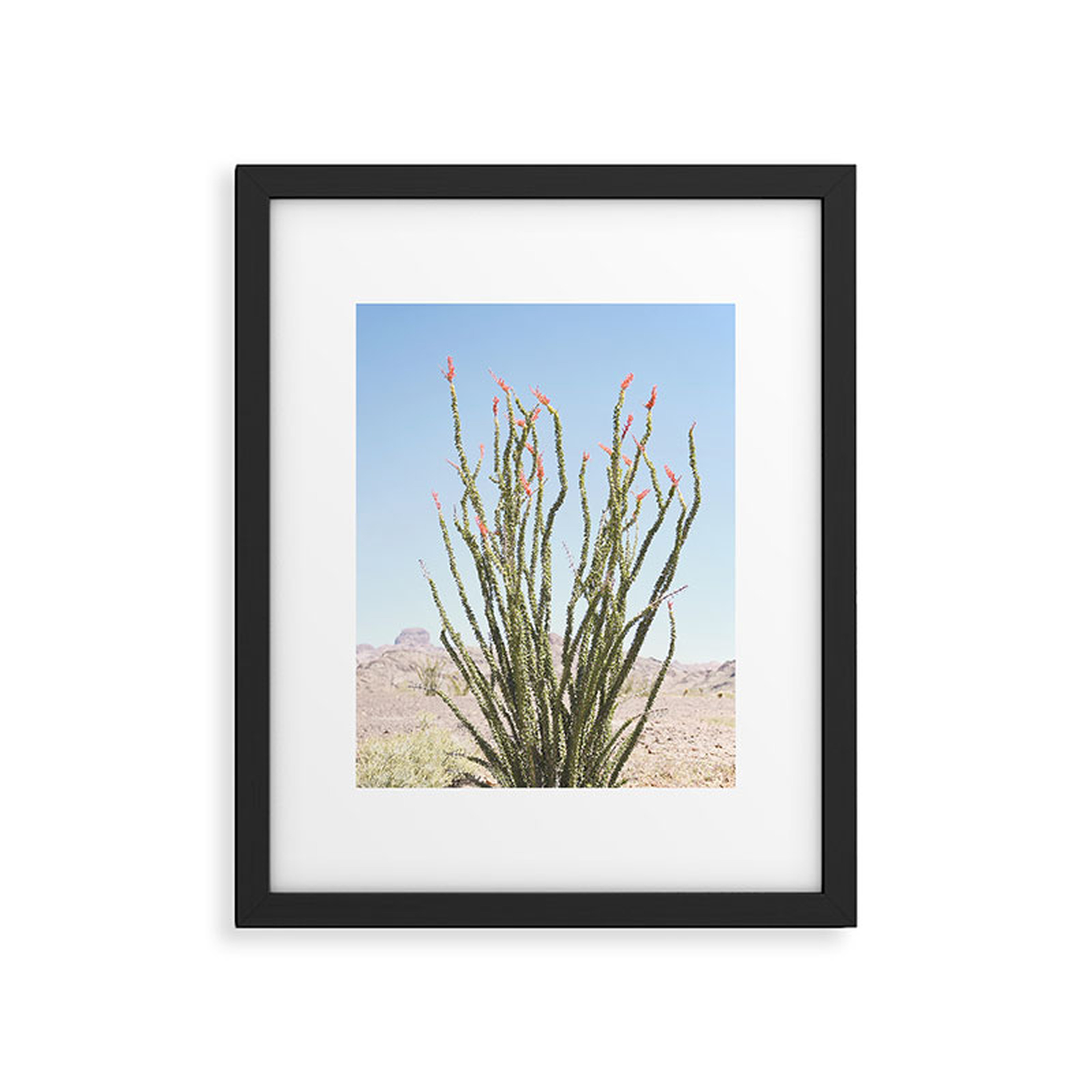 Desert Flower by Bree Madden - Modern Framed Art Print, Black, 16" x 20" - Roam Common