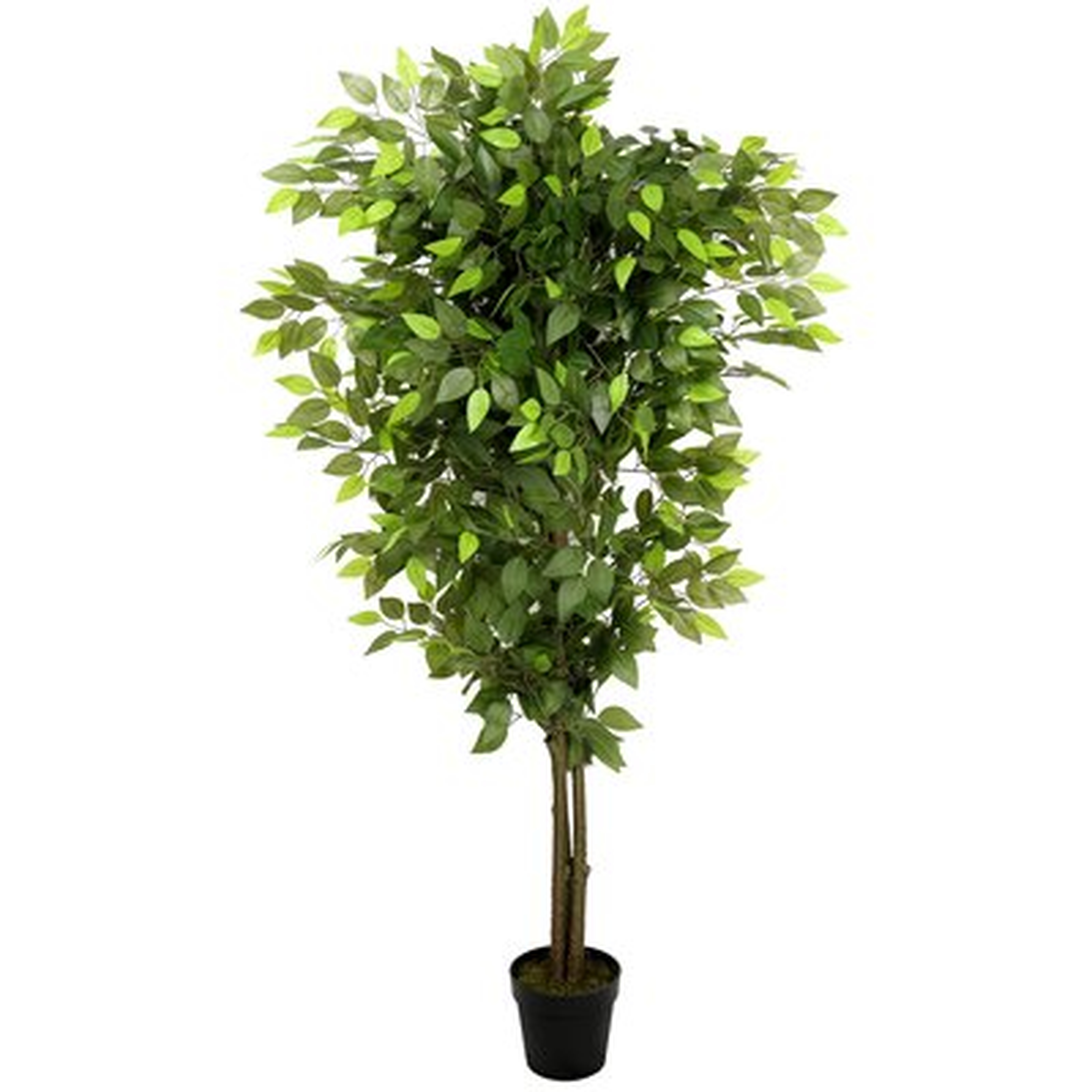 65'' Artificial Ficus Tree in Pot - Wayfair
