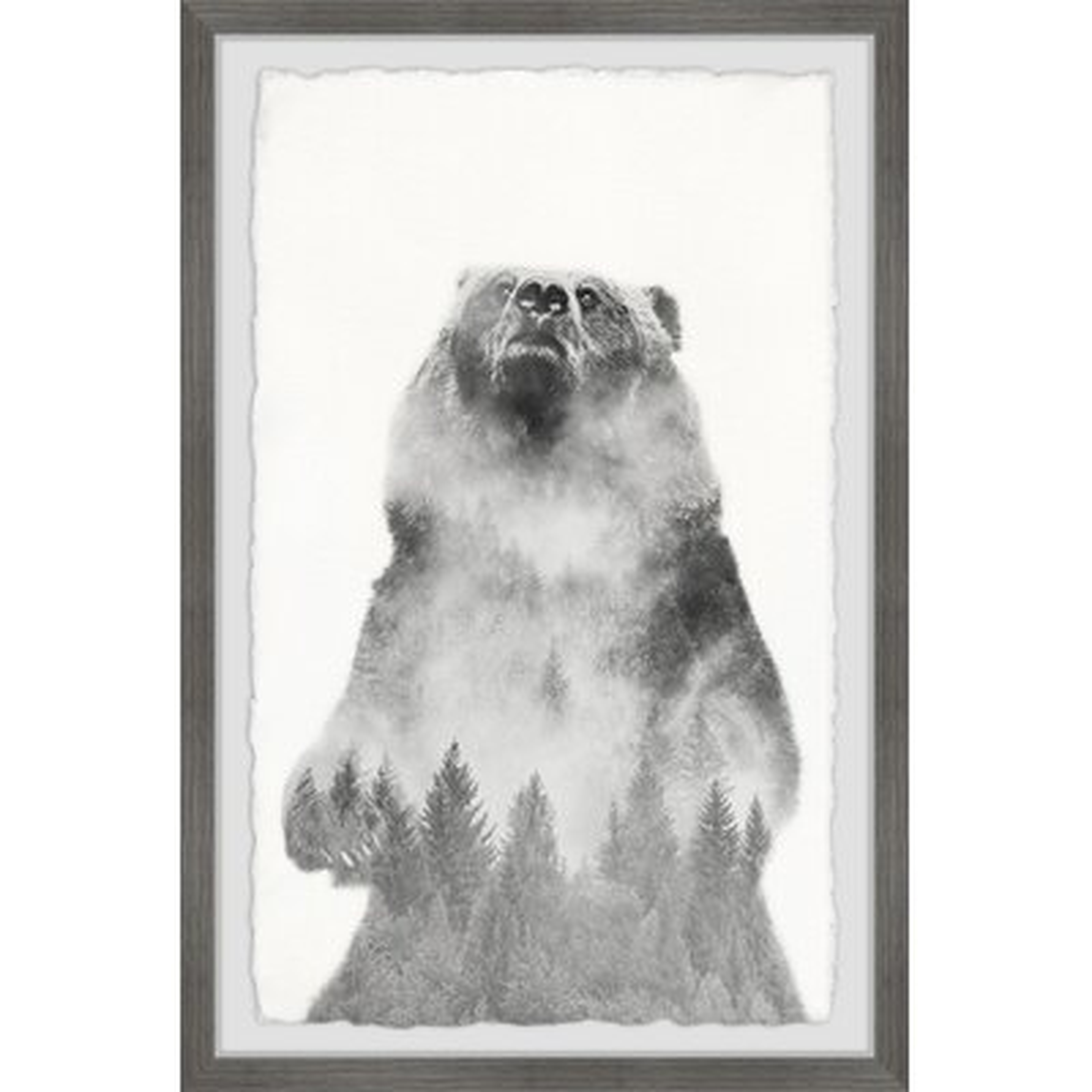'Mountain Bear' - Picture Frame Graphic Art Print on Paper - Wayfair