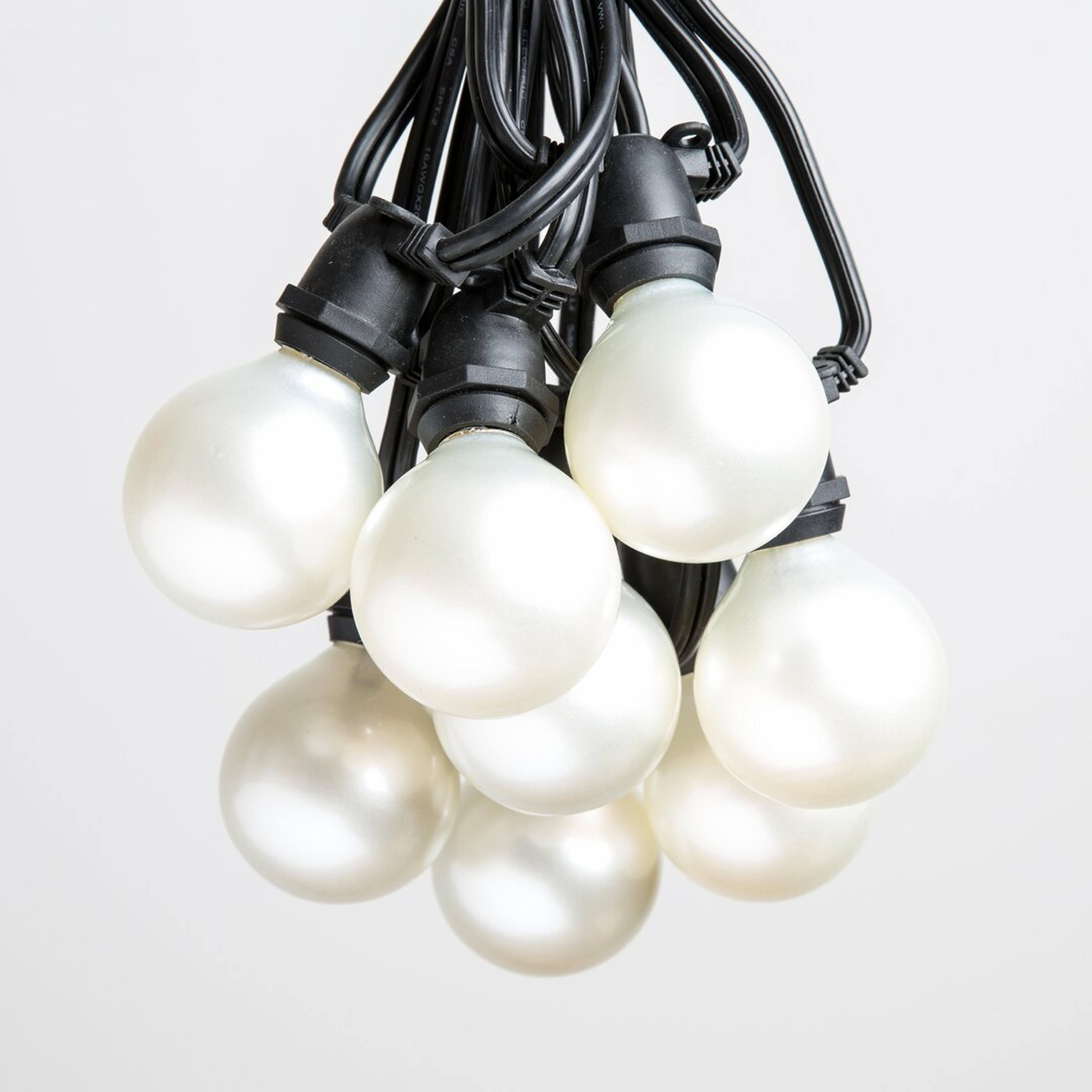 "Hometown Evolution, Inc. 50' Outdoor 40 - Bulb Globe String Light" - Perigold