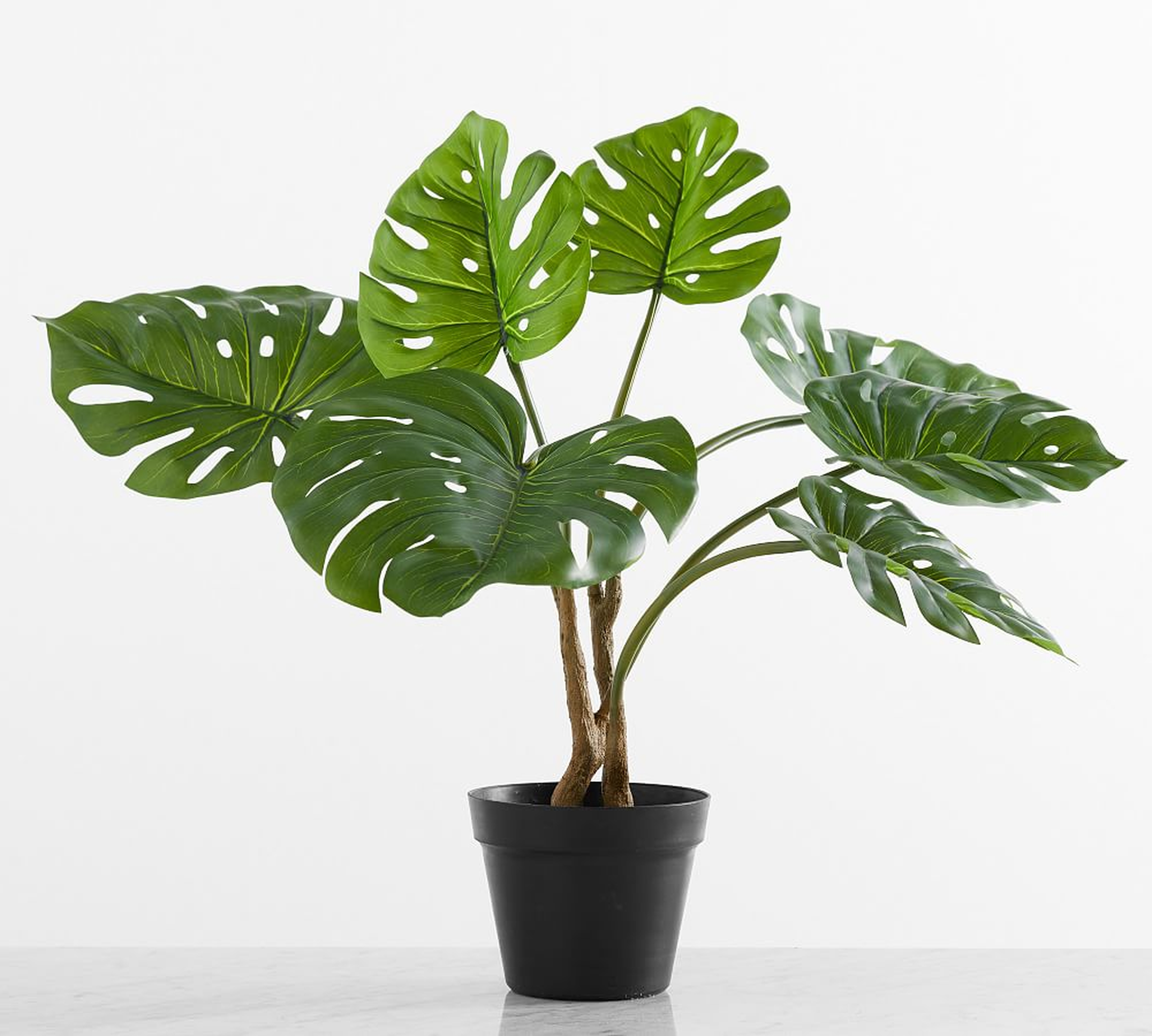 Faux Potted Houseplant,Small,Monstera - Pottery Barn