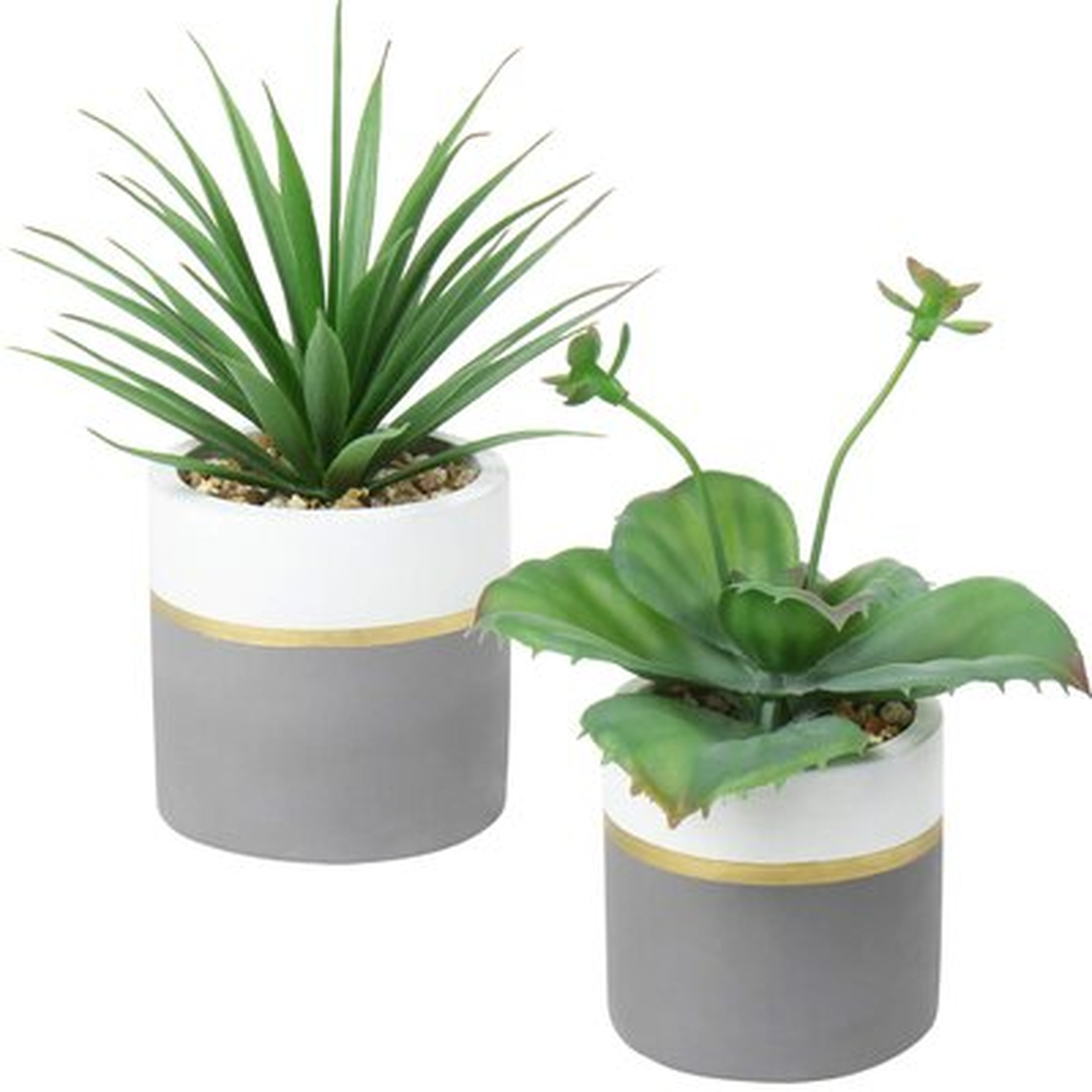2 Pcs Artificial Succulent Plants Faux Agave Succulent Potted Fake Aloe Sansevieria Snake Plant Assorted Decorative Small Plants With Cement Pots For Home Office Desk Shelf Indoor Decor - Wayfair