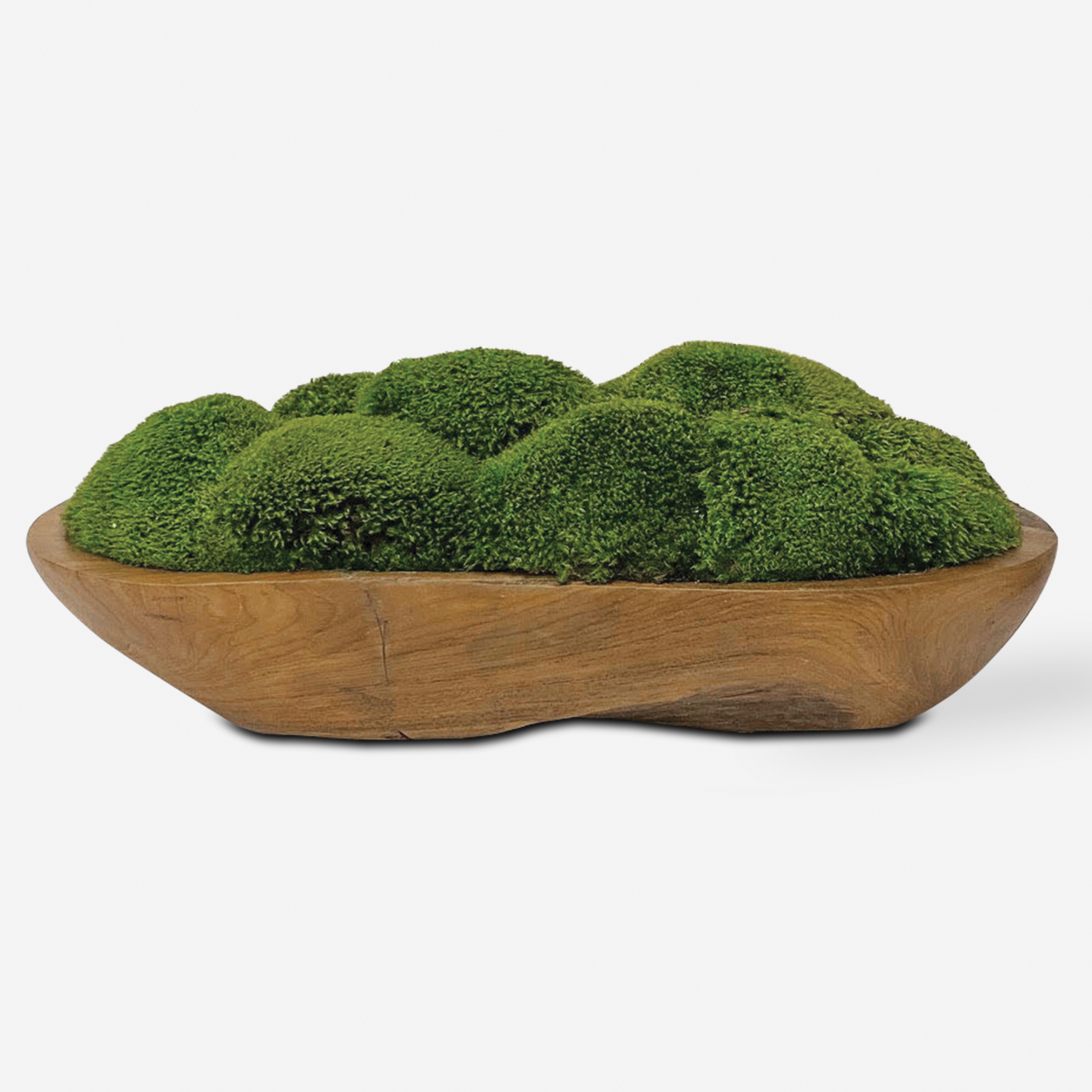 Kinsale Moss Centerpiece - Uttermost