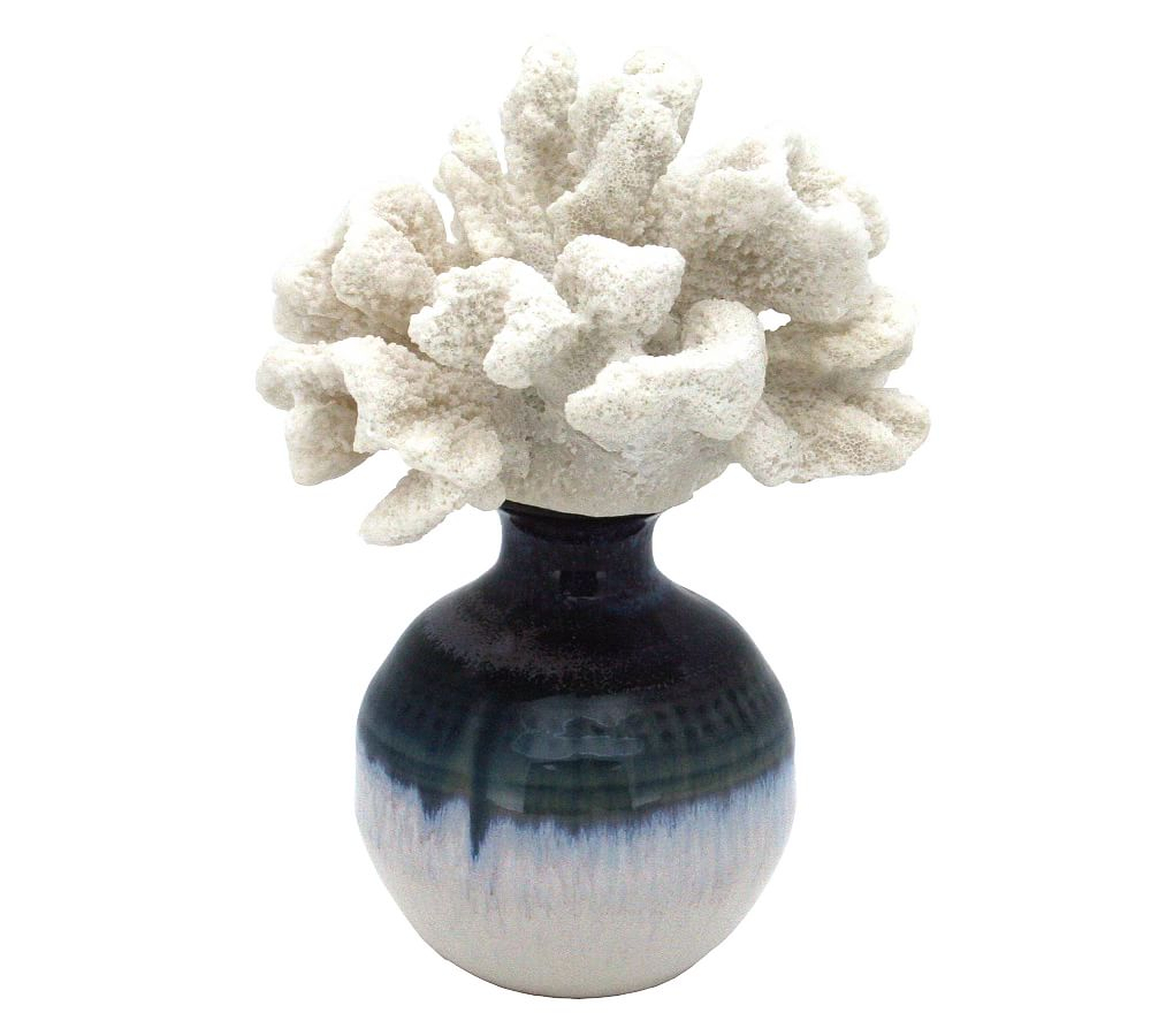 Bear Paw Coral On Reactive Glazed Vase - Pottery Barn