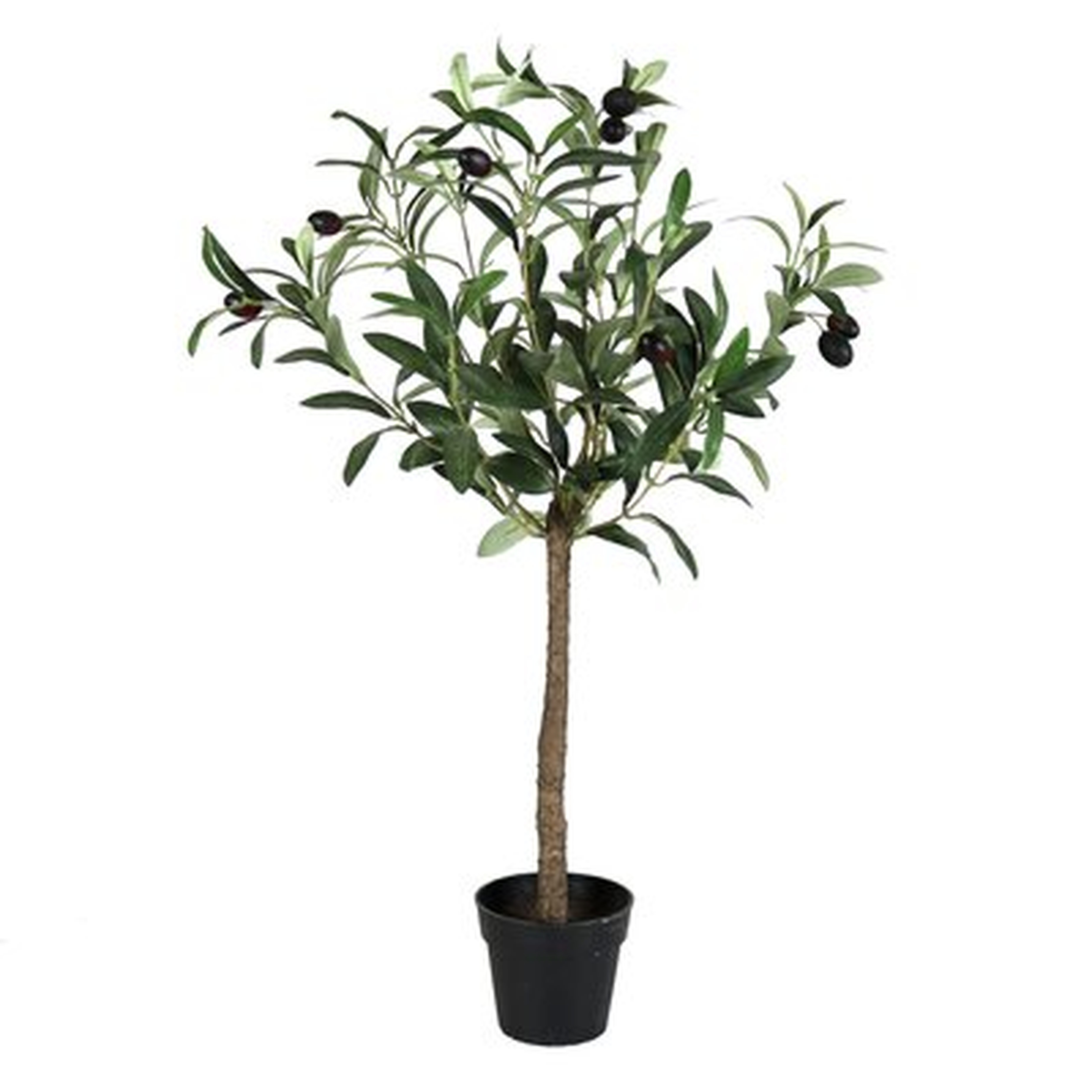 Faux Olive Tree in Pot 26"H - Wayfair