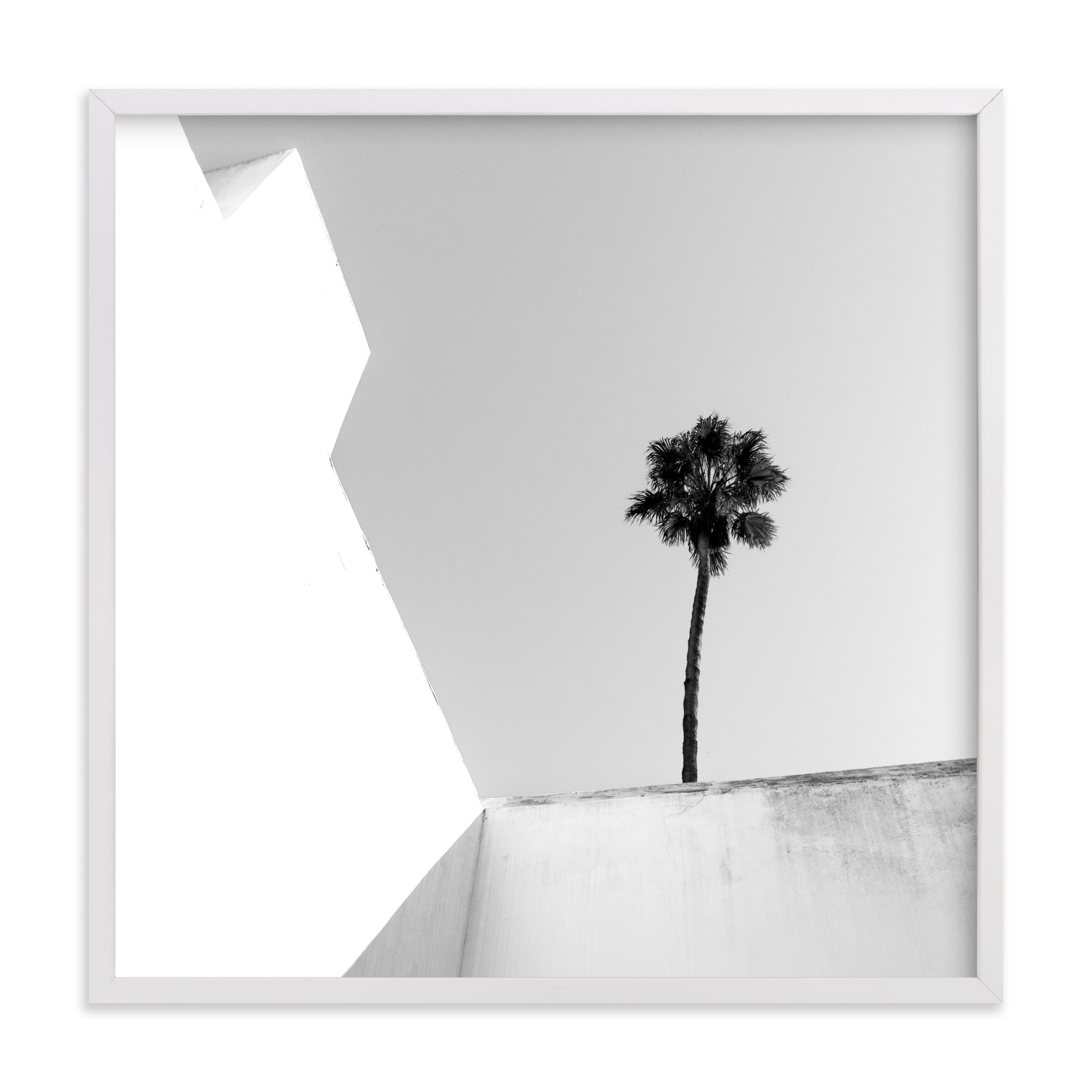 Structured Palm Limited Edition Fine Art Print 2 - Minted