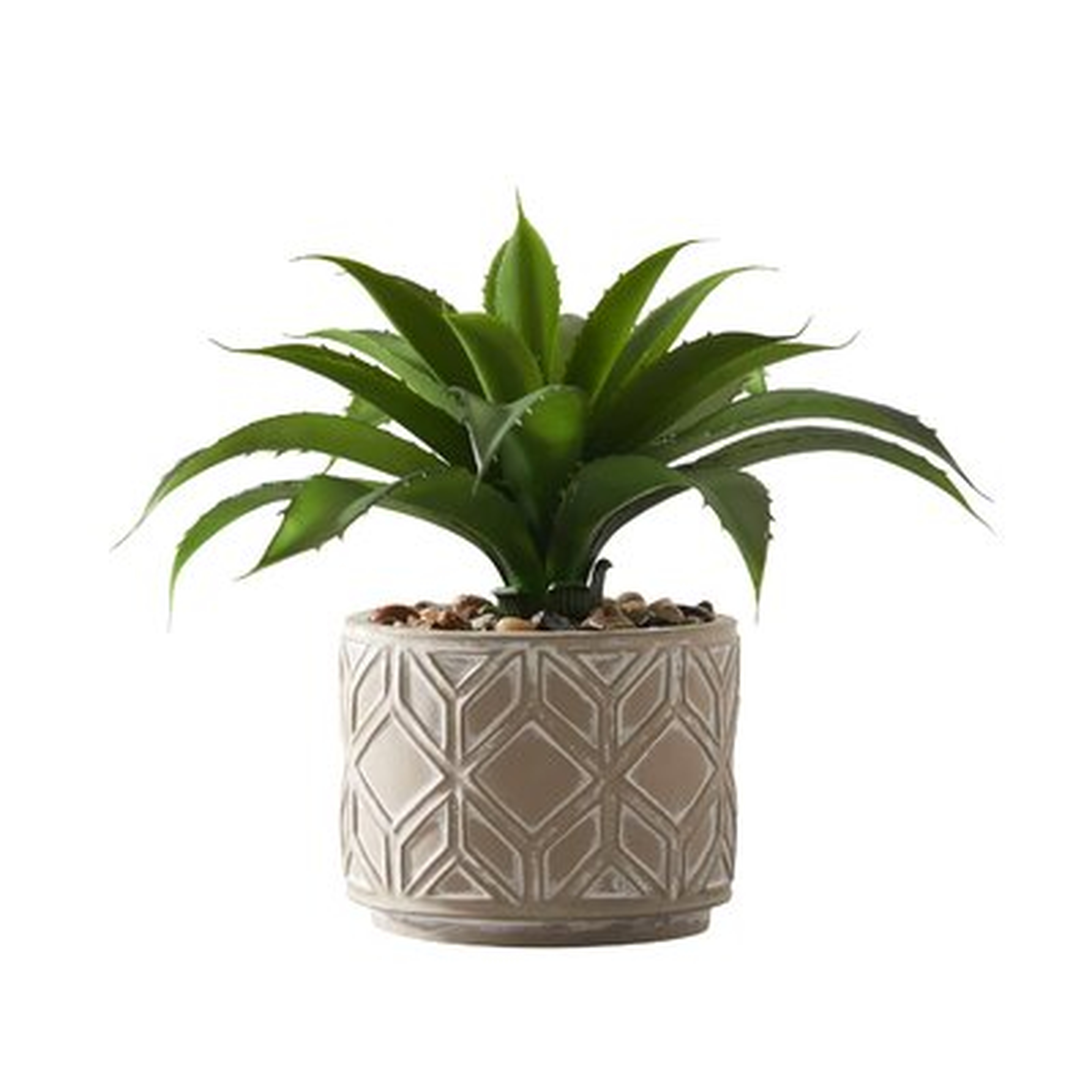 5.6'' Artificial Succulent in Pot - Wayfair