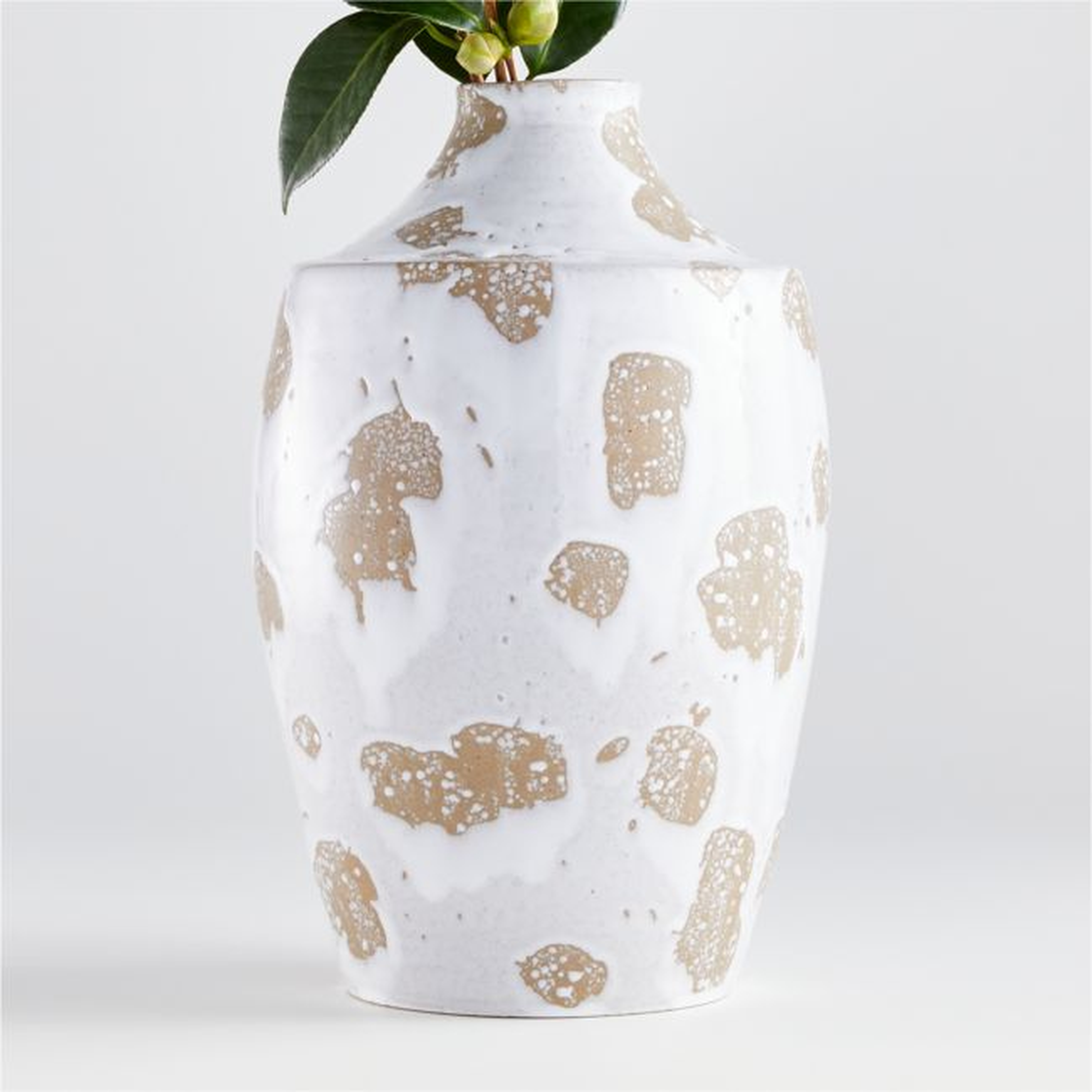 Edmer Spotted Large White Vase - Crate and Barrel