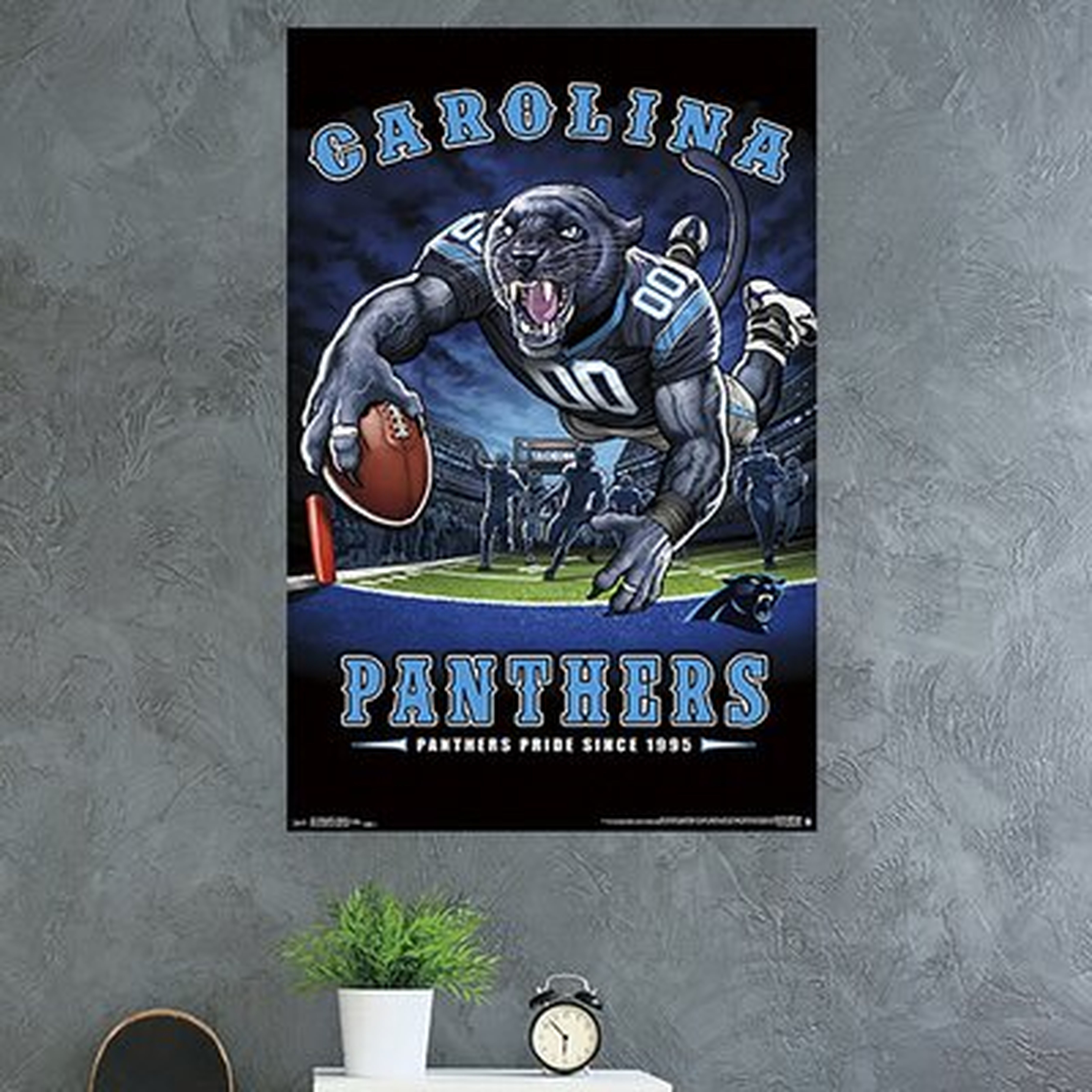 Carolina Panthers - End Zone Paper Print - Wayfair