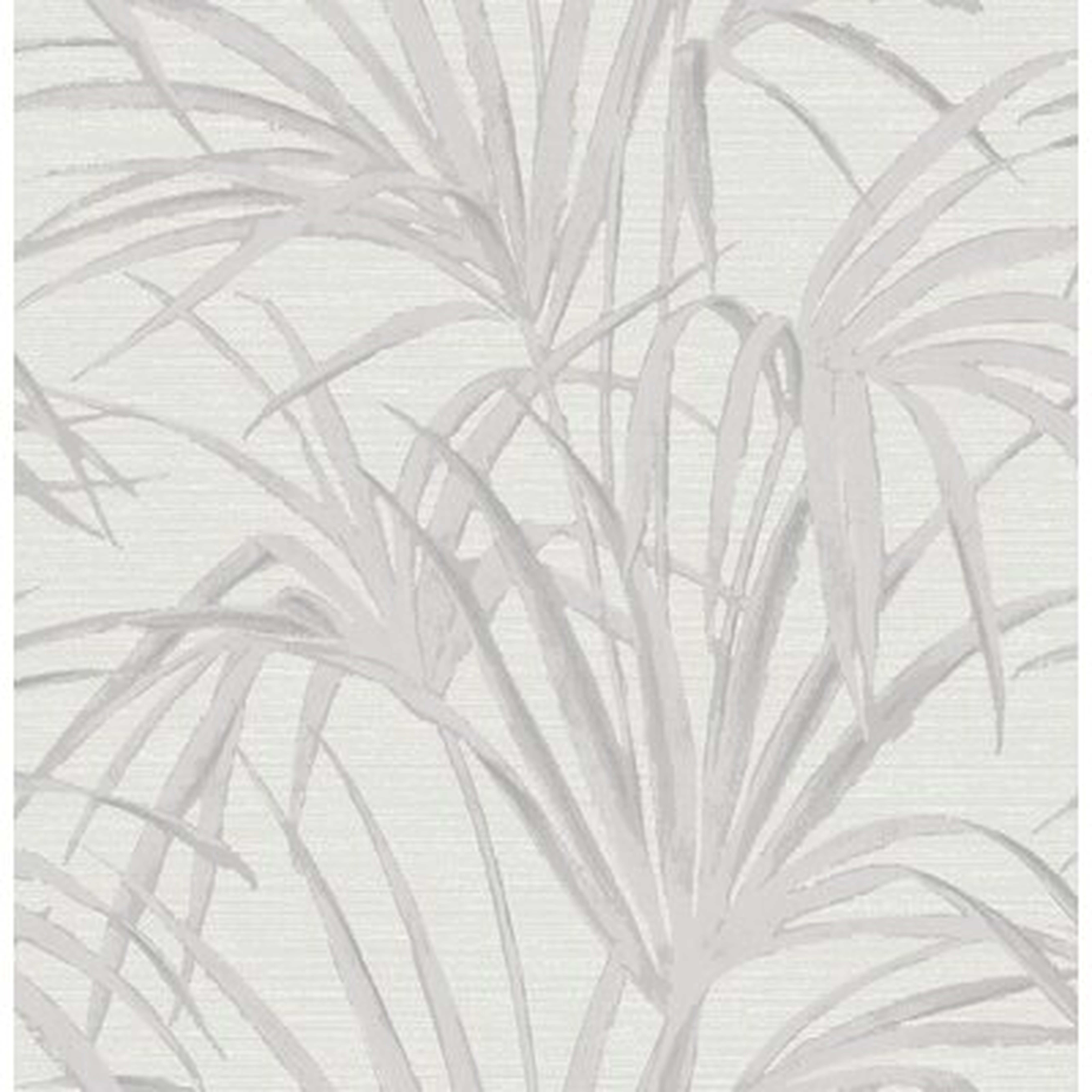Ochlocknee 33' x 21" Palm Wallpaper Roll - Birch Lane