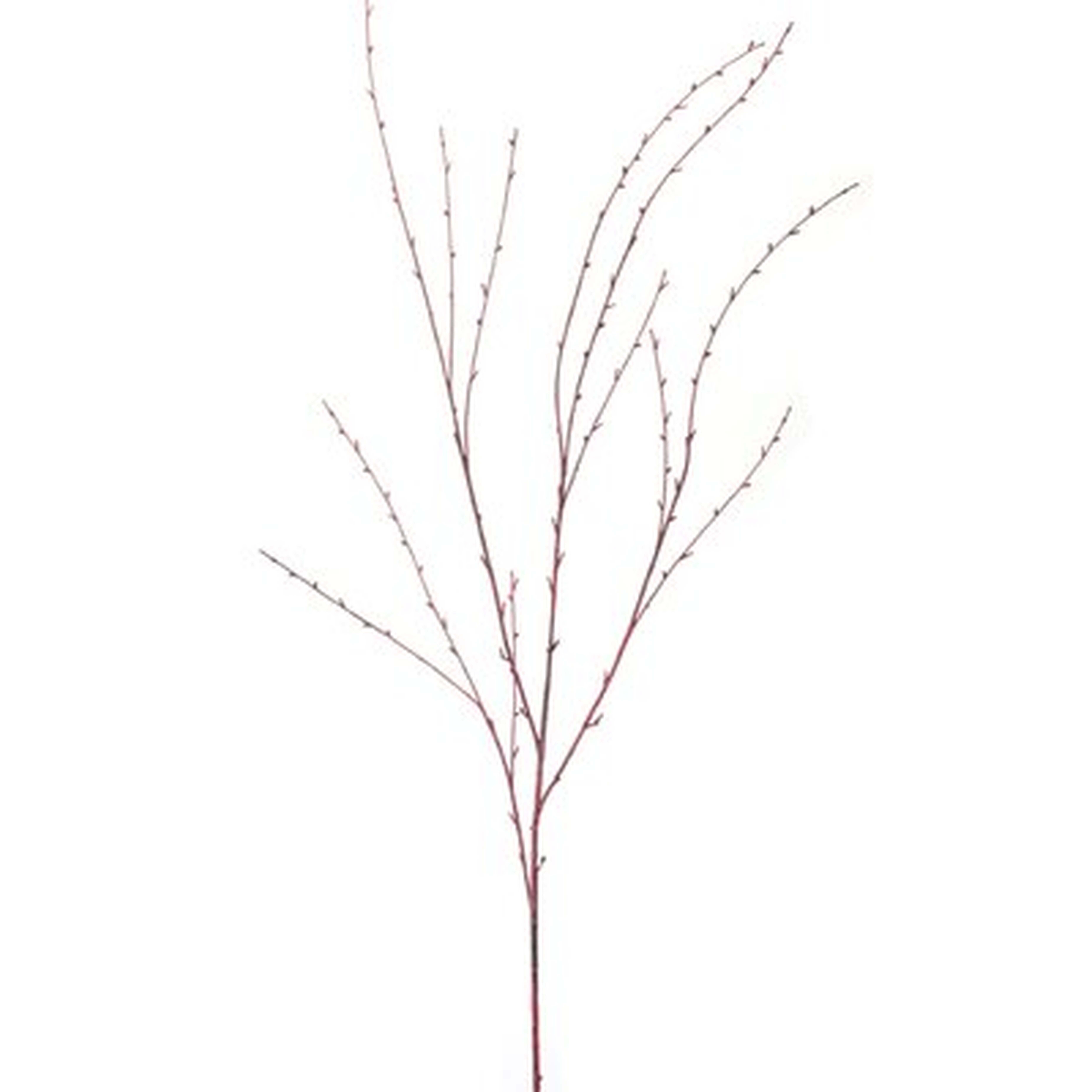 Twig Branch (Set Of 24) 50"H Plastic - Wayfair