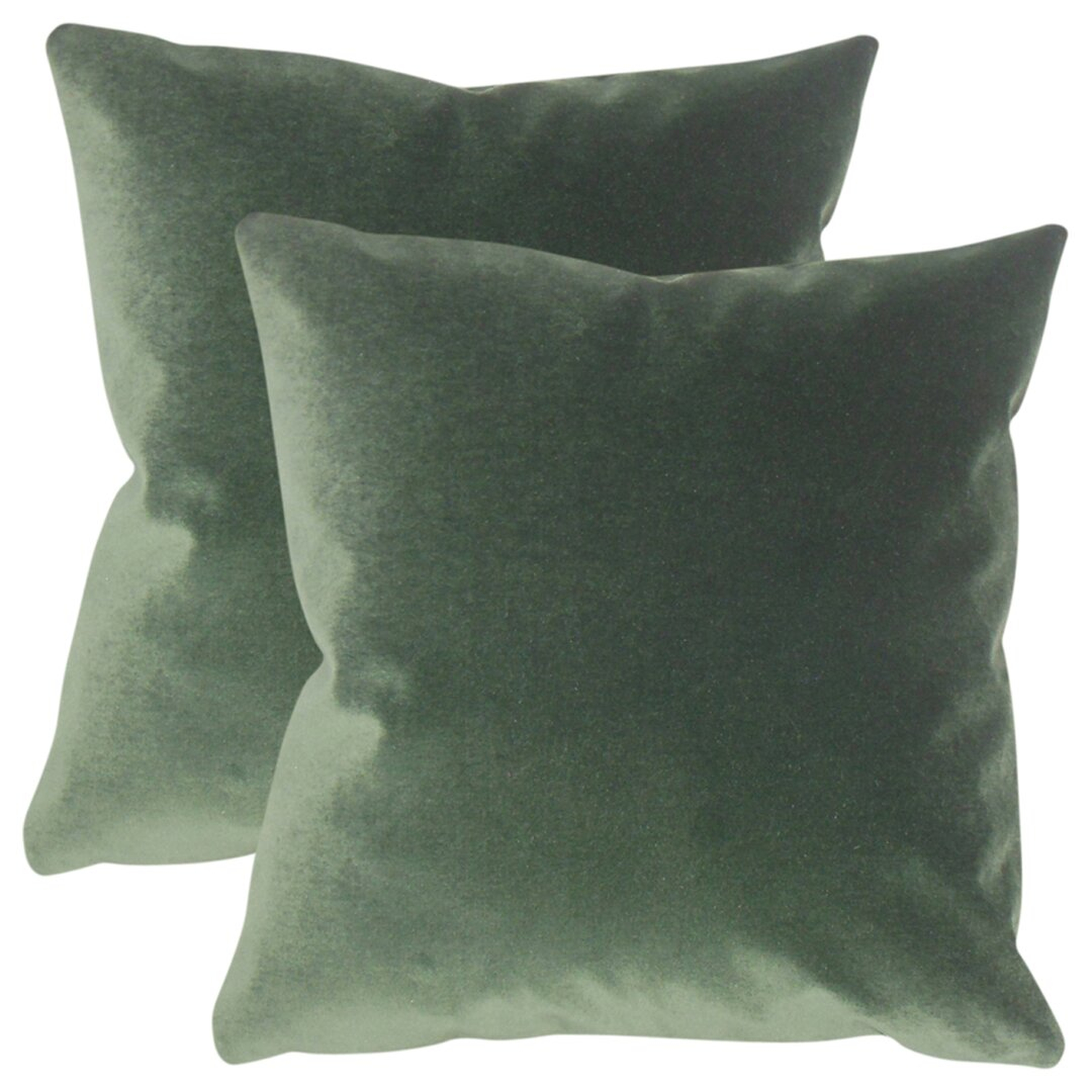 "The Pillow Collection Arison Cotton Throw Pillow" (set of 2) - Perigold