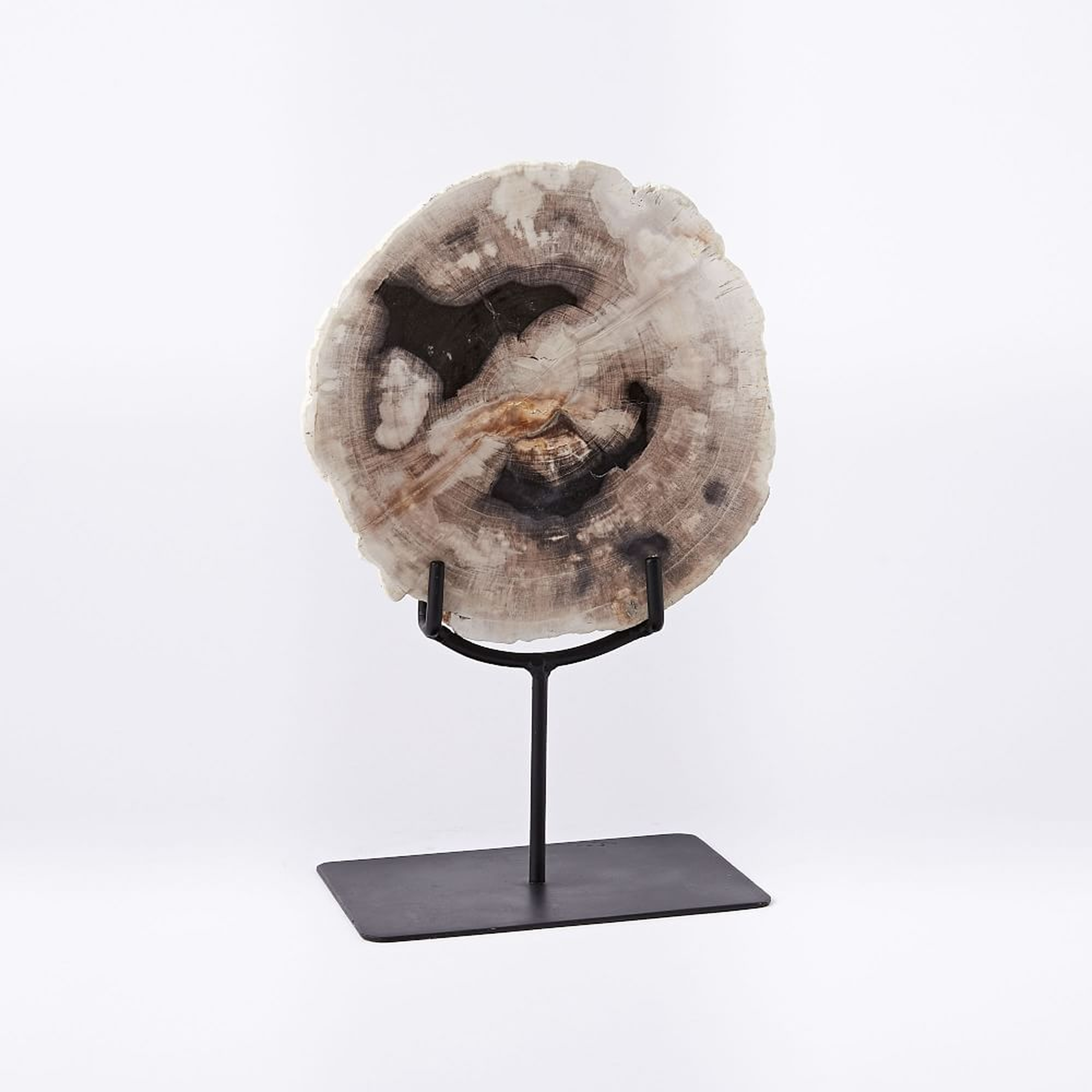 Petrified Wood Object on Stand, Small - West Elm