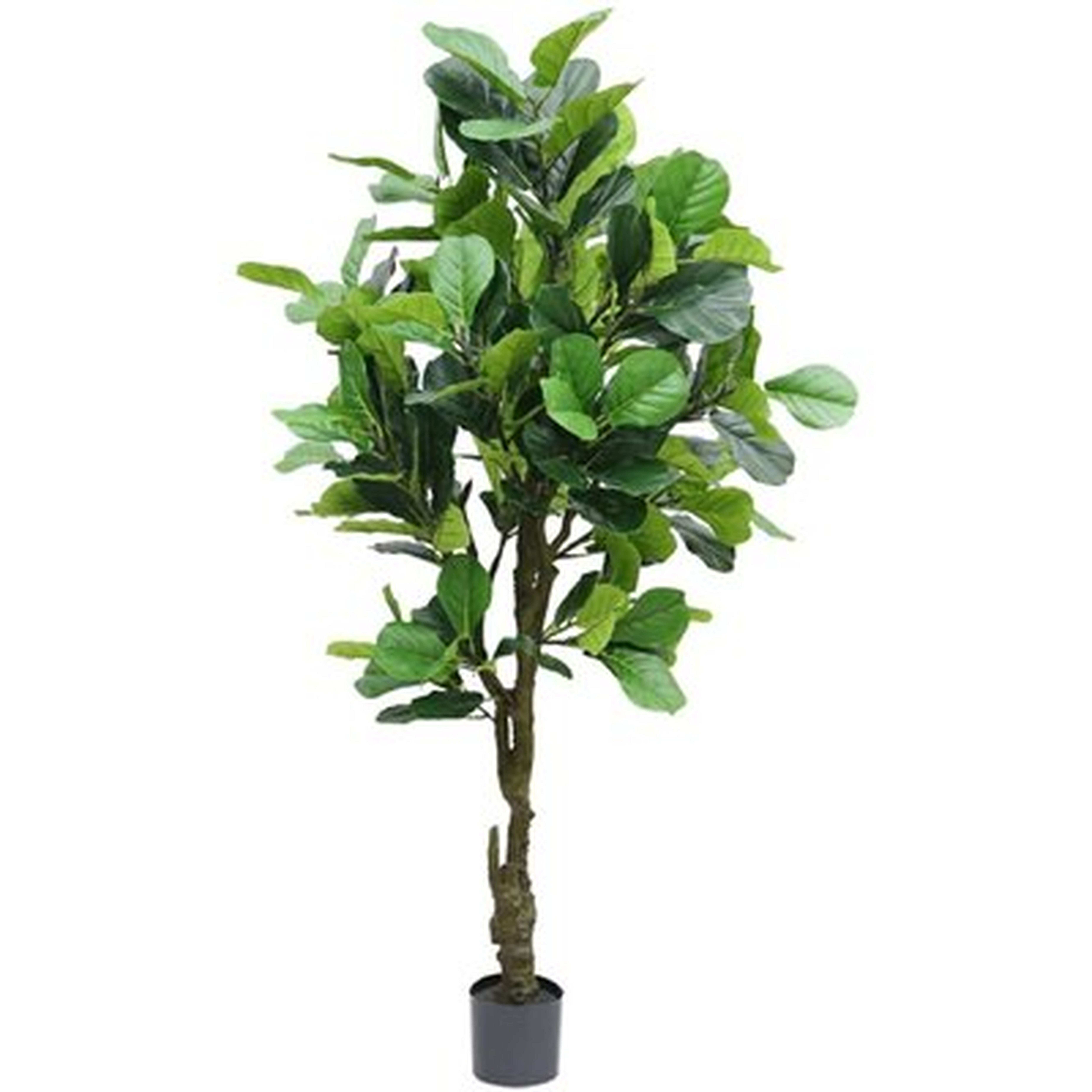 6Ft Artificial Tree Fiddle Leaf Fig Tree Fake Tree In Pot Natural Faux Tree With 150 Leaves Artificial Plant Indoor Outdoor Decor For House Home Office Perfect Housewarming Gift - Wayfair