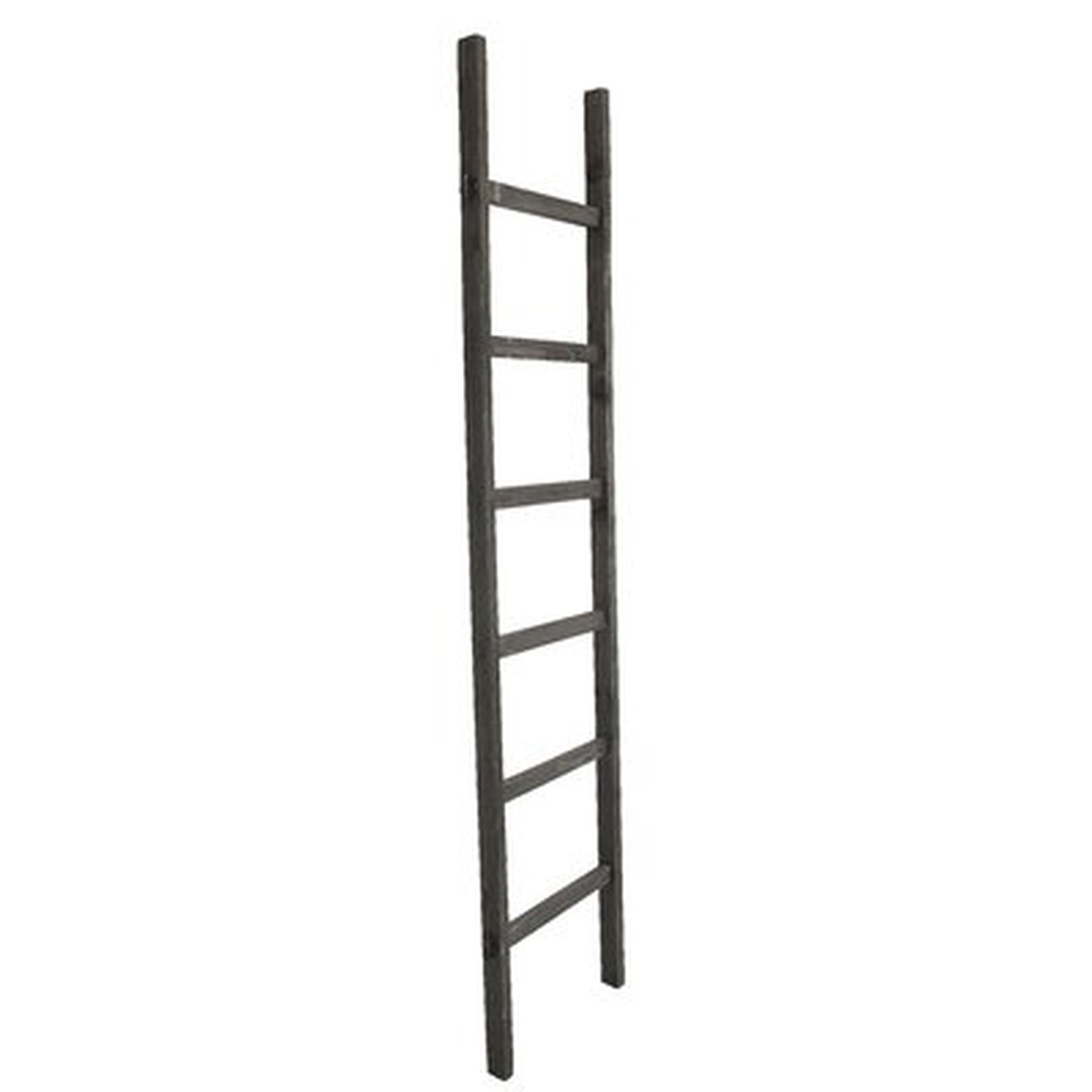 Blesse 6.4 ft Blanket Ladder - Birch Lane