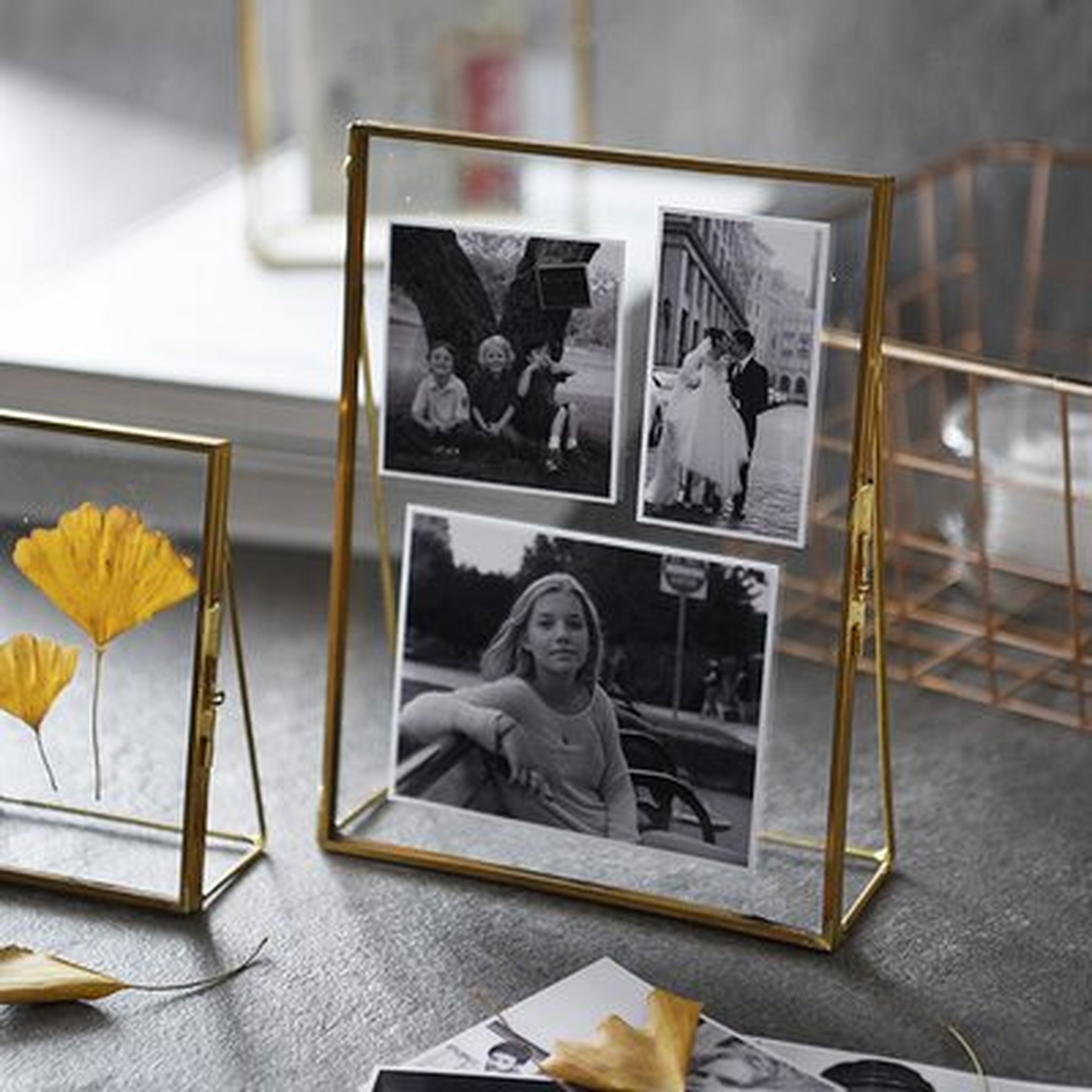 Rosie Glass Hinged Cover Tabletop Picture Frame - Birch Lane