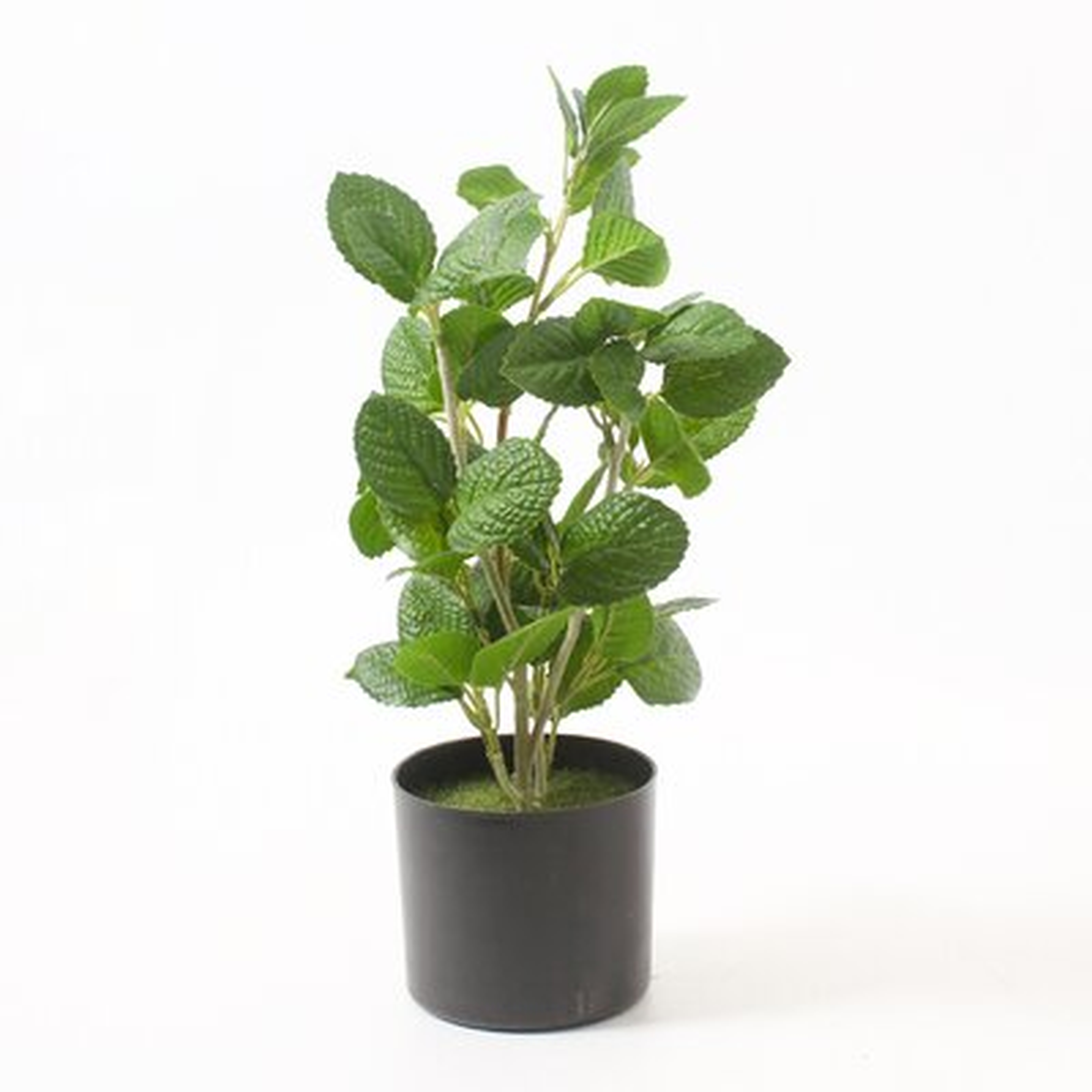 14" Mint Leaf Faux Plant In Pot - Wayfair