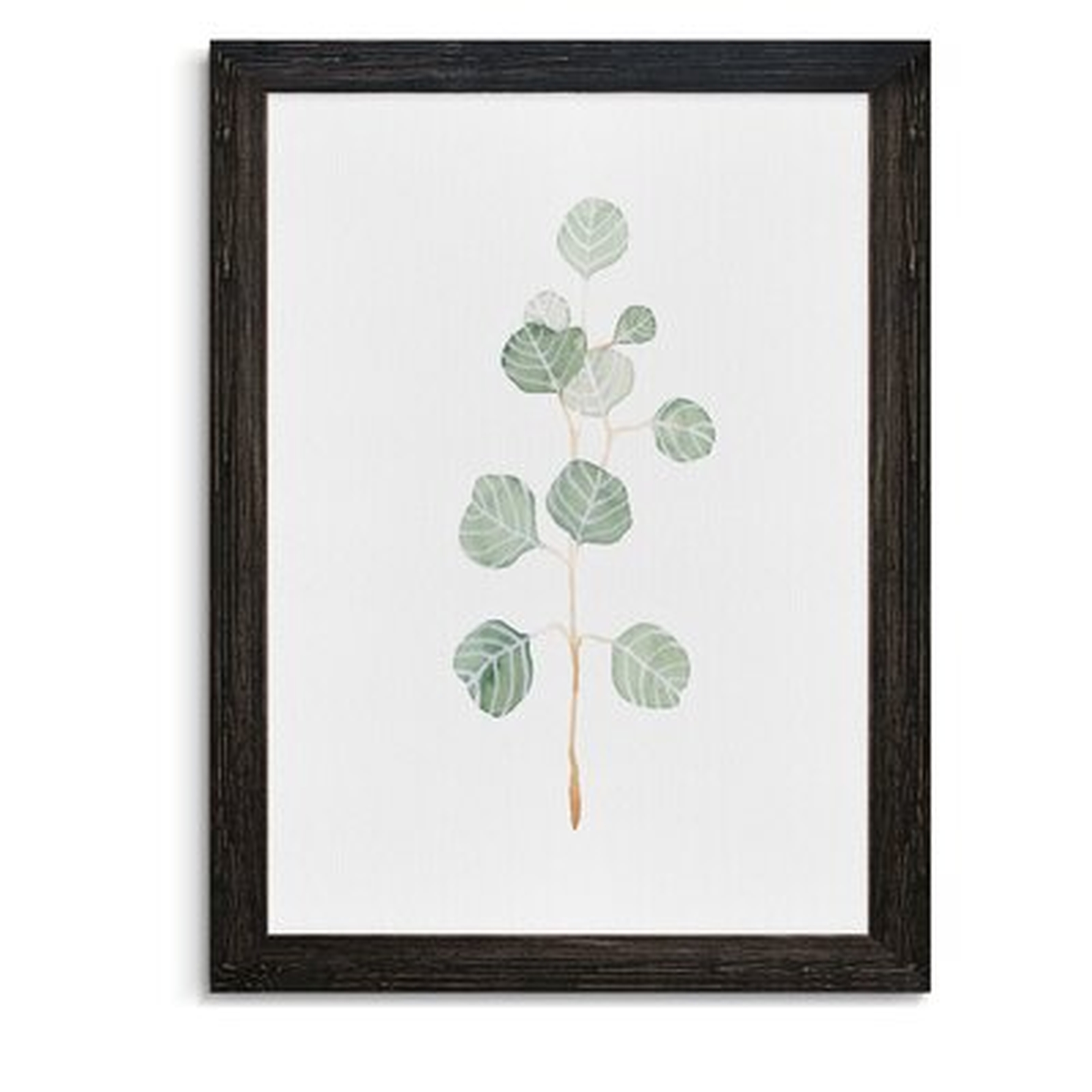 'Soft Eucalyptus Branch II' -  Picture Frame Painting on Canvas - Wayfair