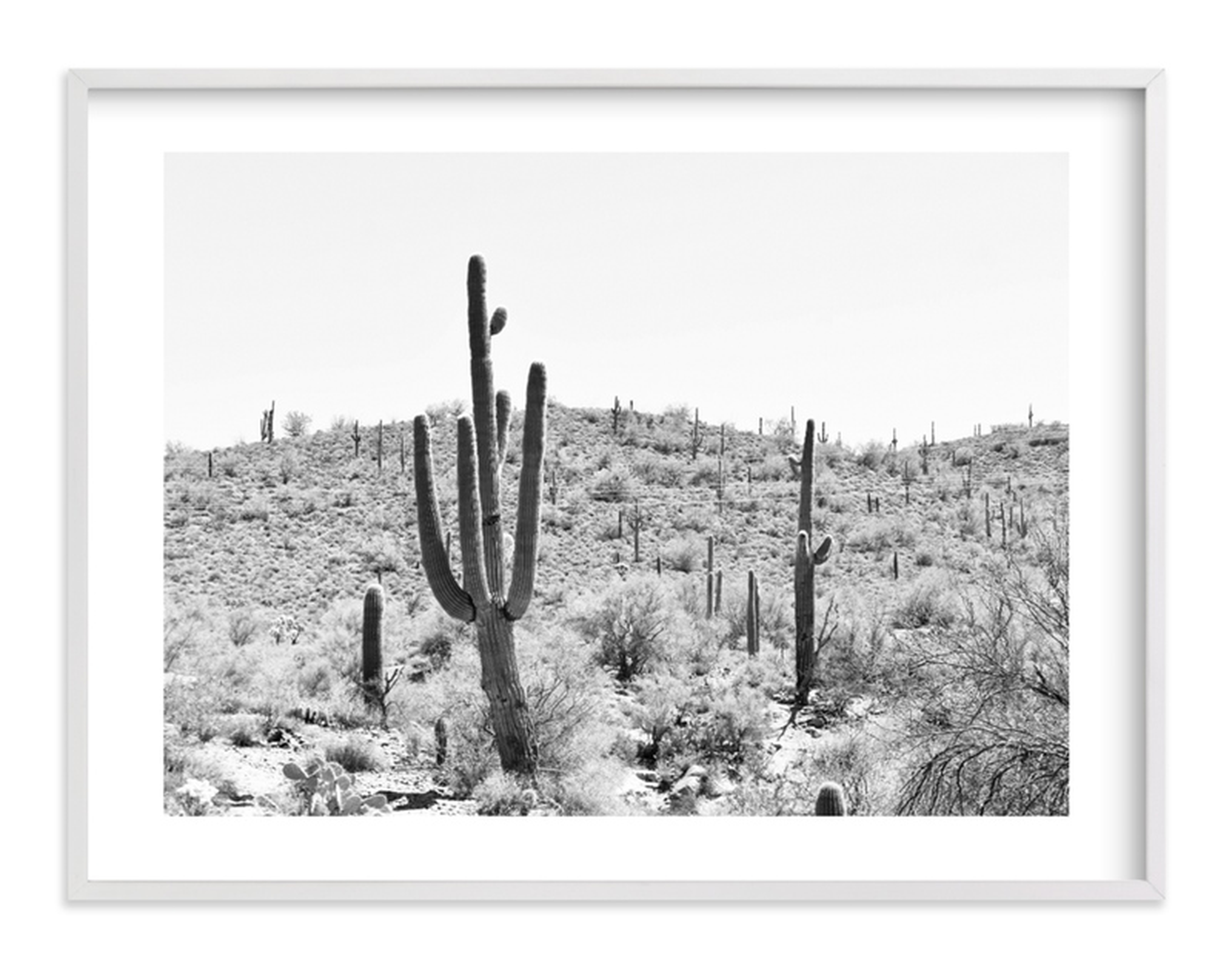 Dusty Cacti Art Print - Minted