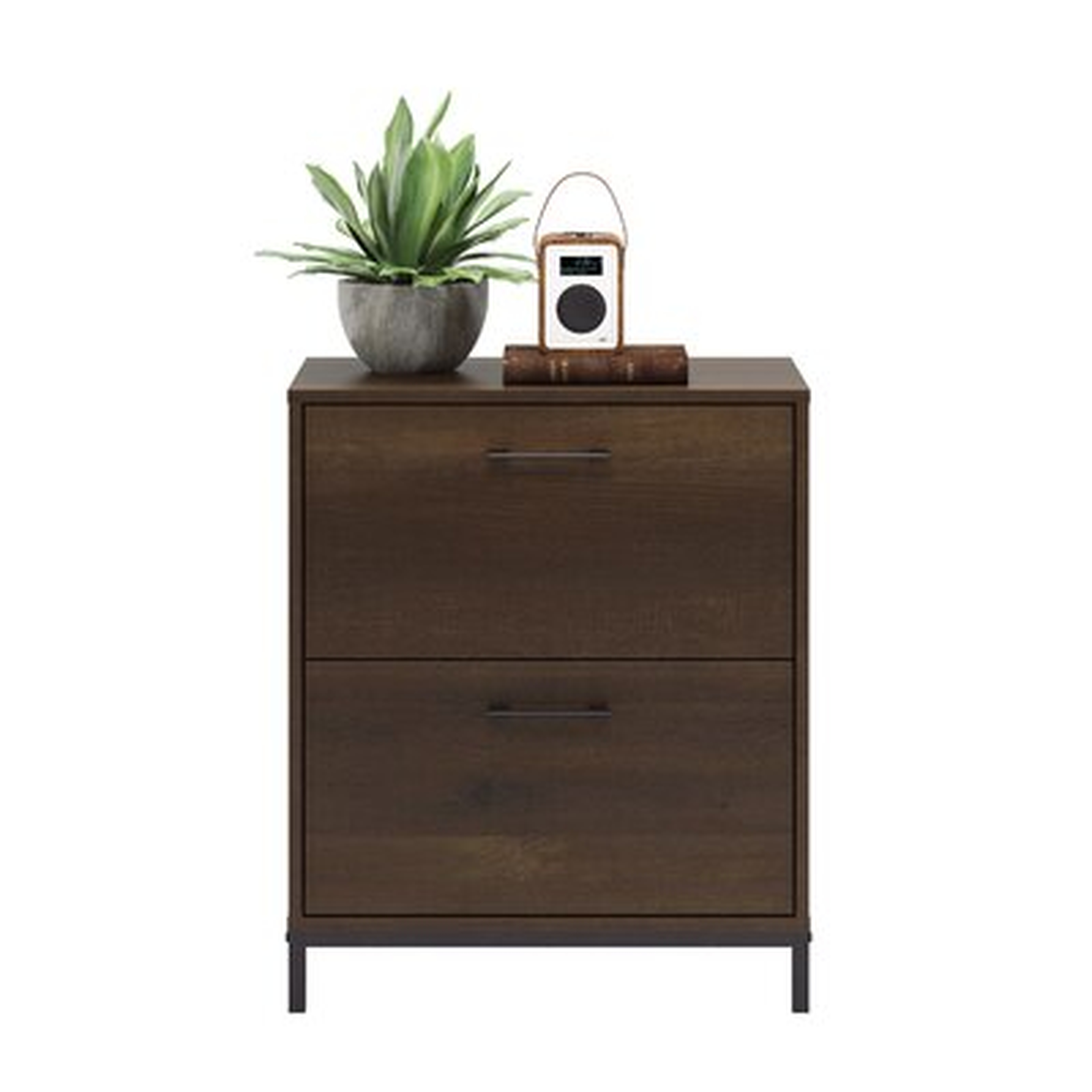Agostinho 2-Drawer Lateral Filing Cabinet - Wayfair