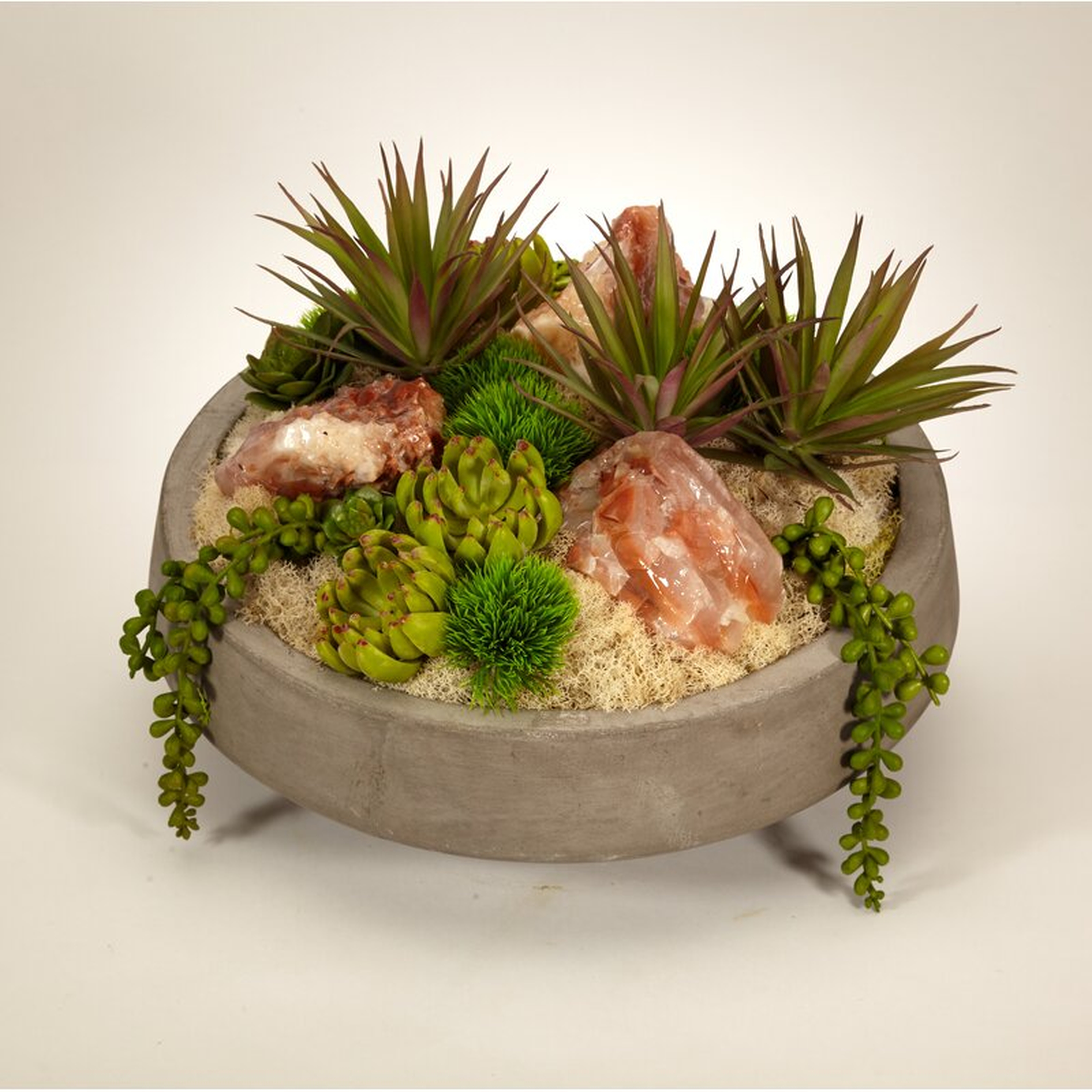 Calcite Succulent Plant in Pot - Perigold