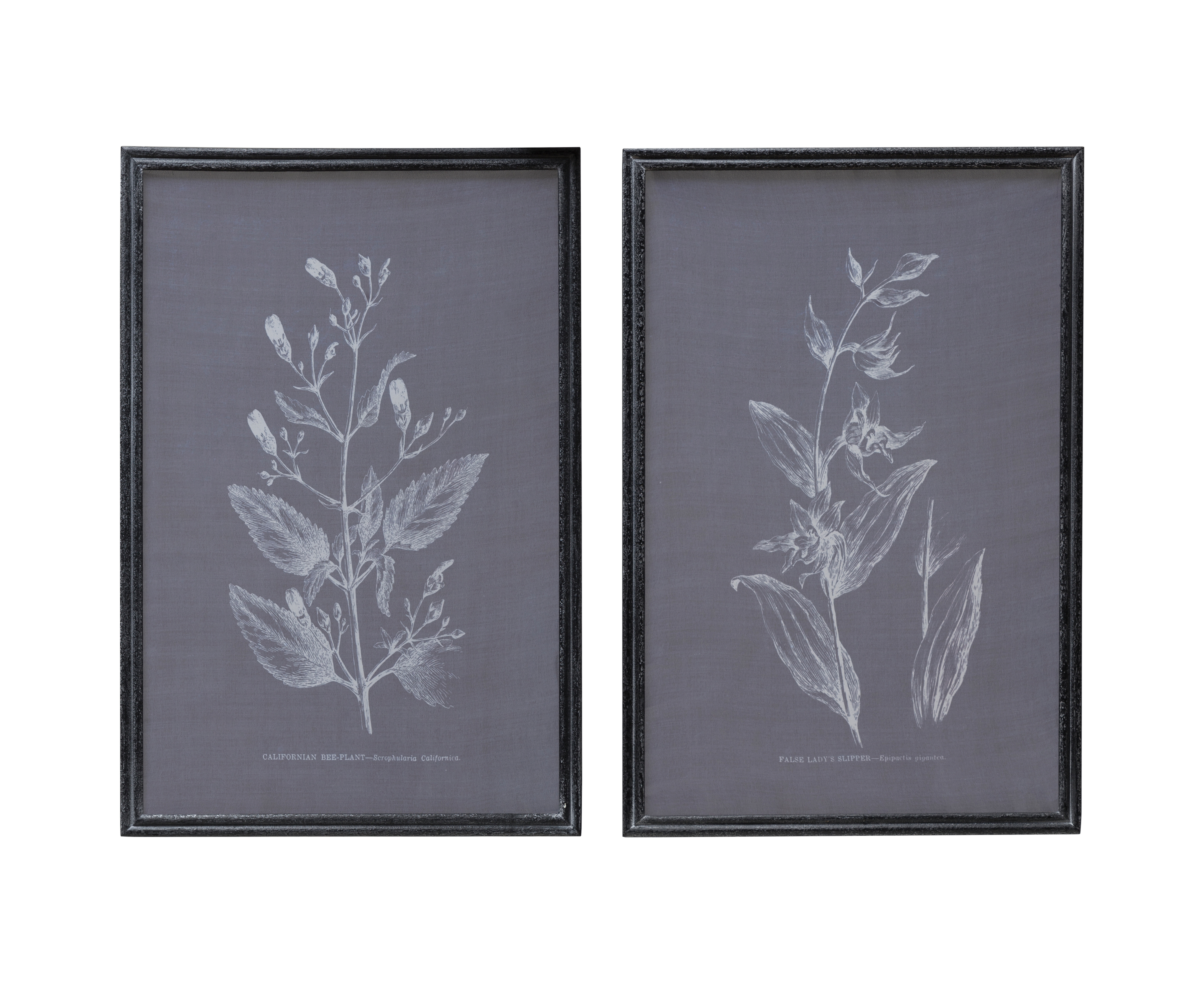 Botanical Silk Screen Art, Set of 2 - Overstock