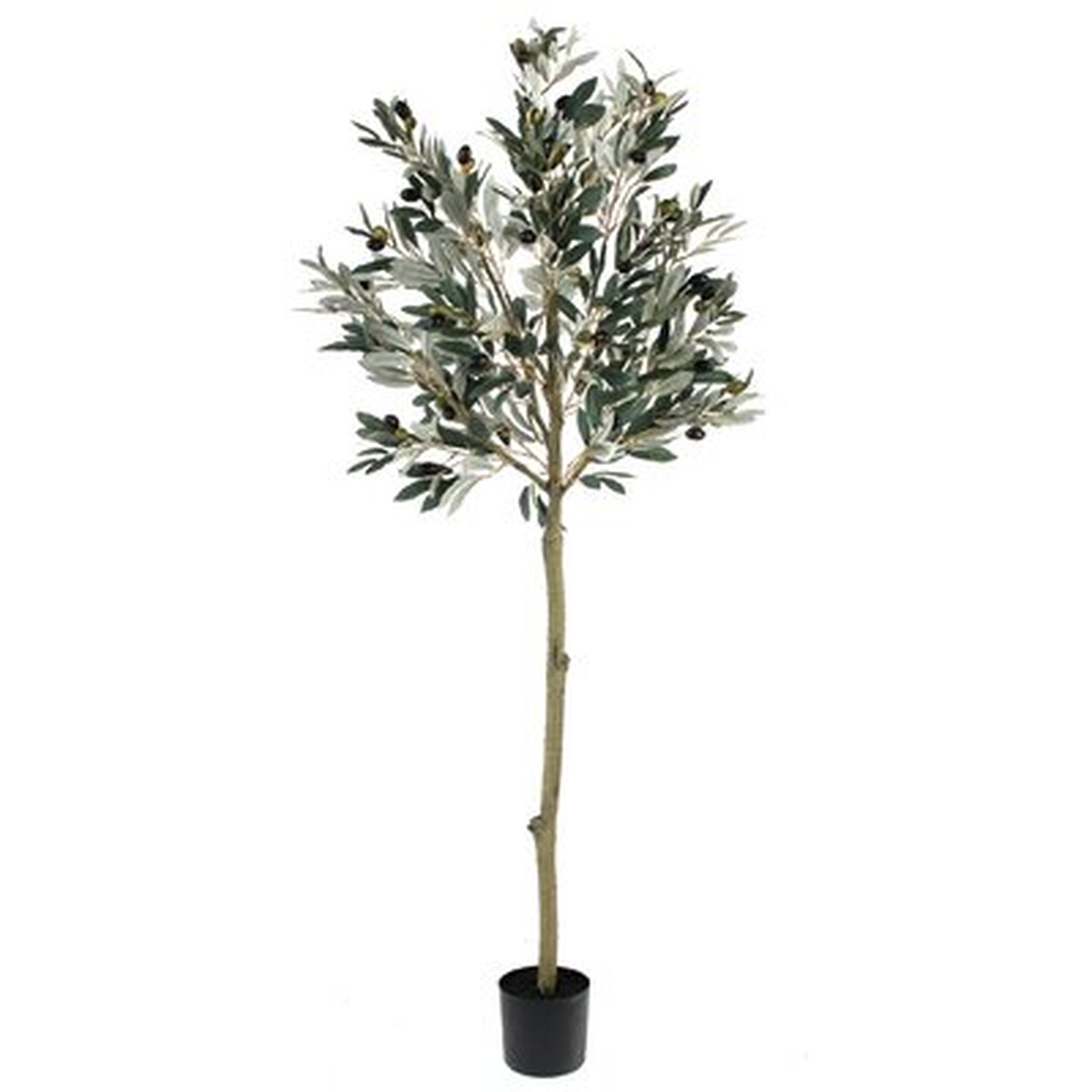 50'' Artificial Olive Tree in Pot Liner - Wayfair