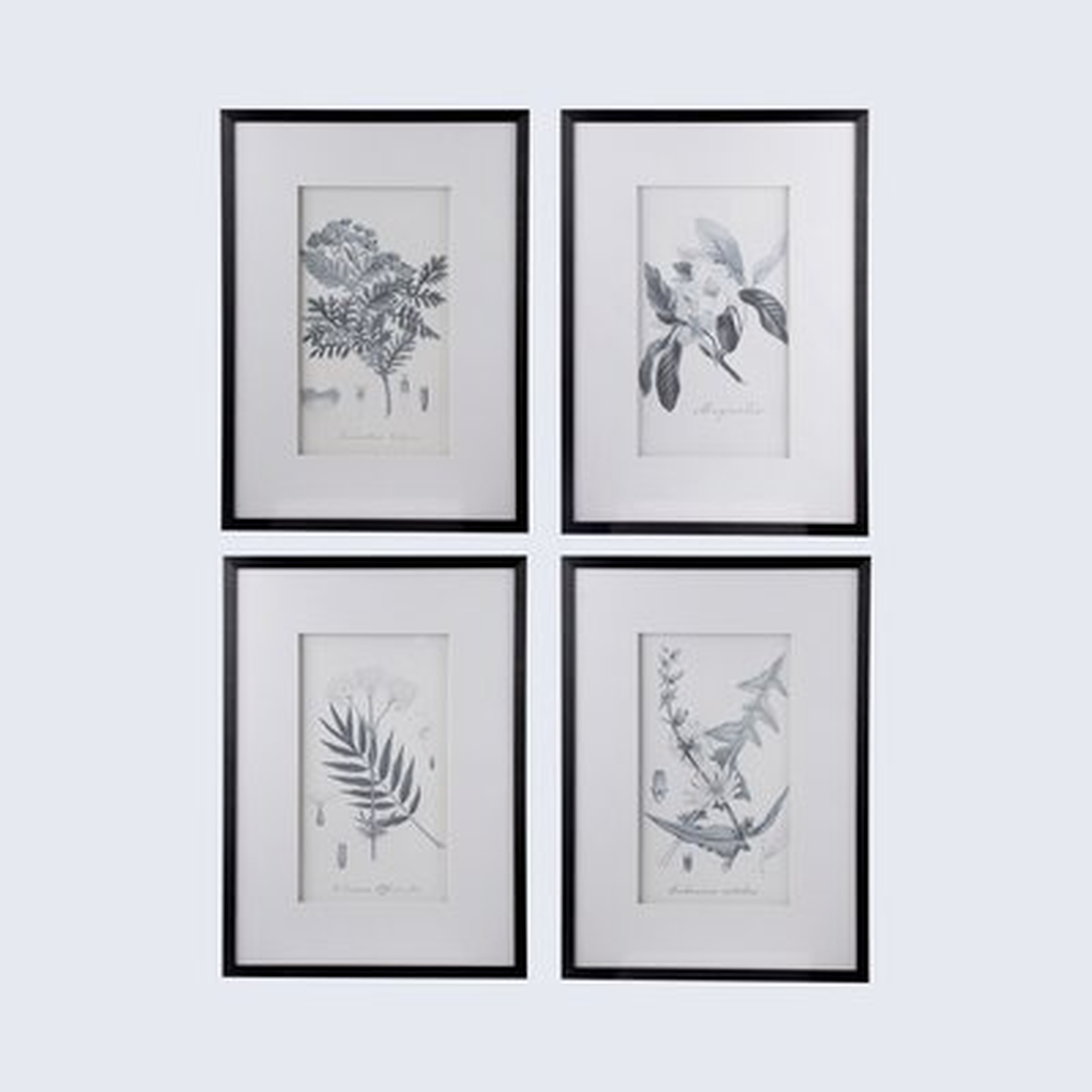 Botanical - 4 Piece Picture Frame Print (Set of 4) - Wayfair