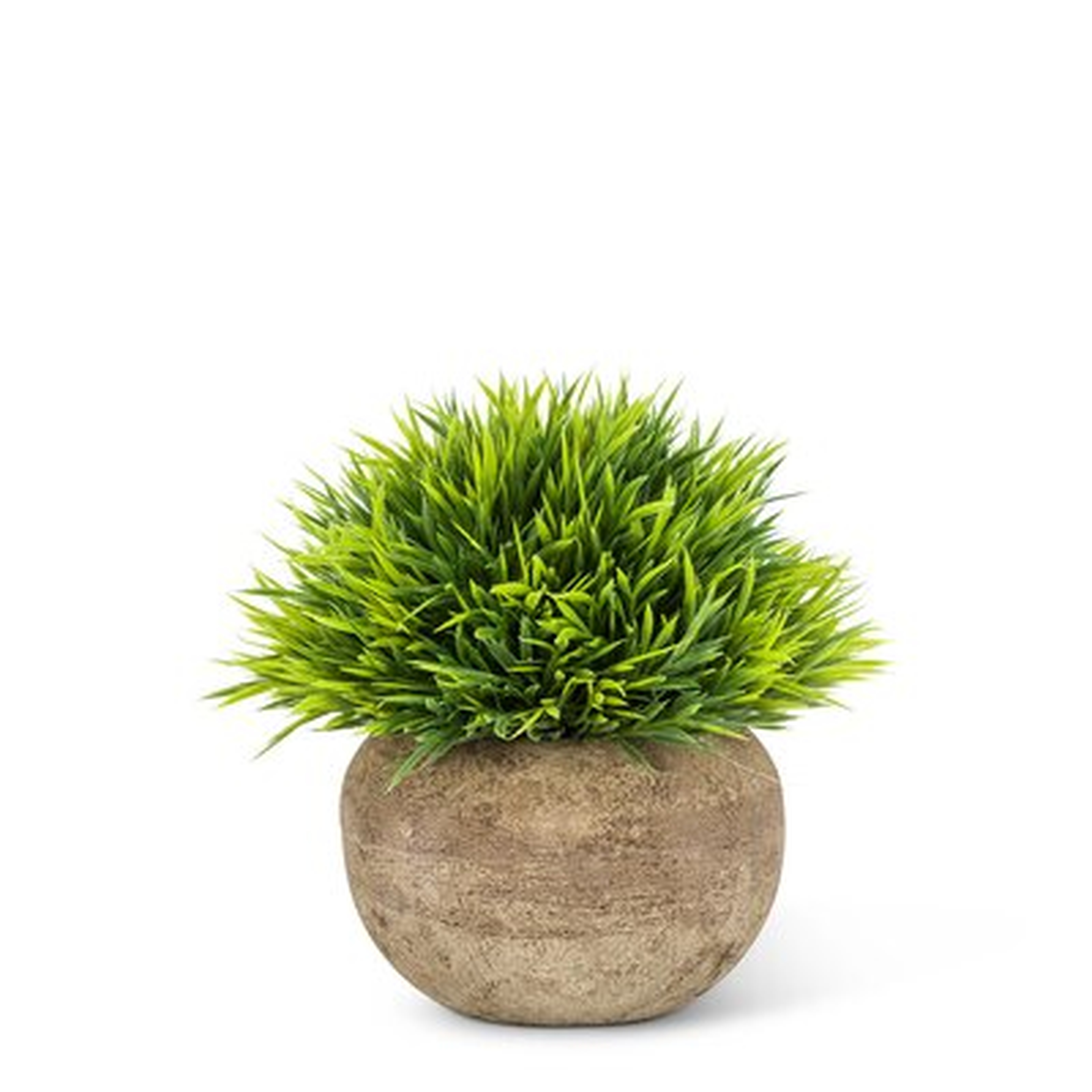 Grassy Artificial Plant - Wayfair