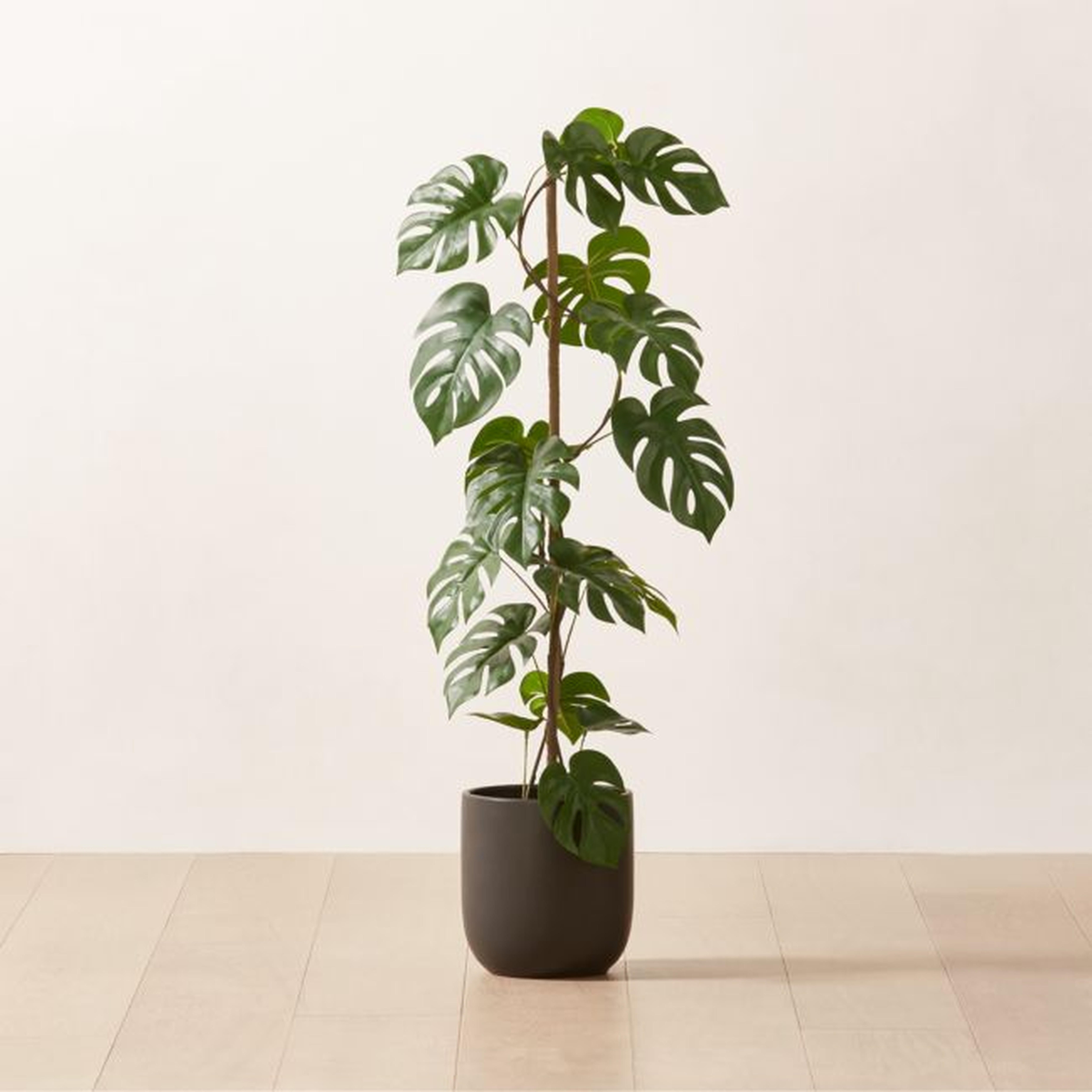 Faux Potted Monstera Deliciosa 40" - CB2